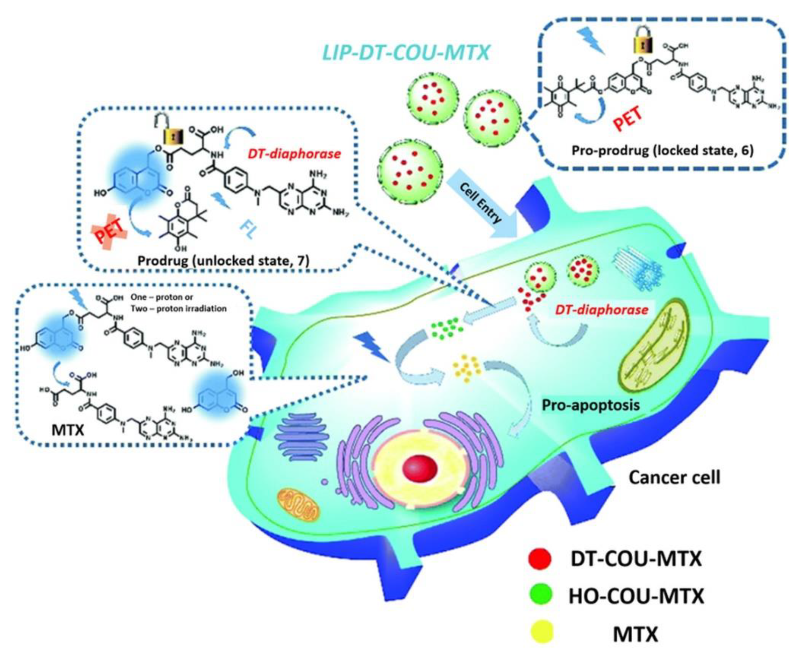 Pharmaceutics 13 00725 g003