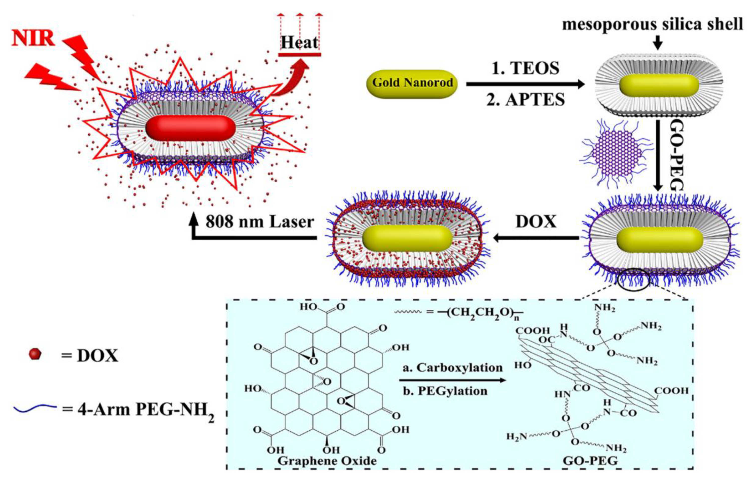 Pharmaceutics 13 00725 g004