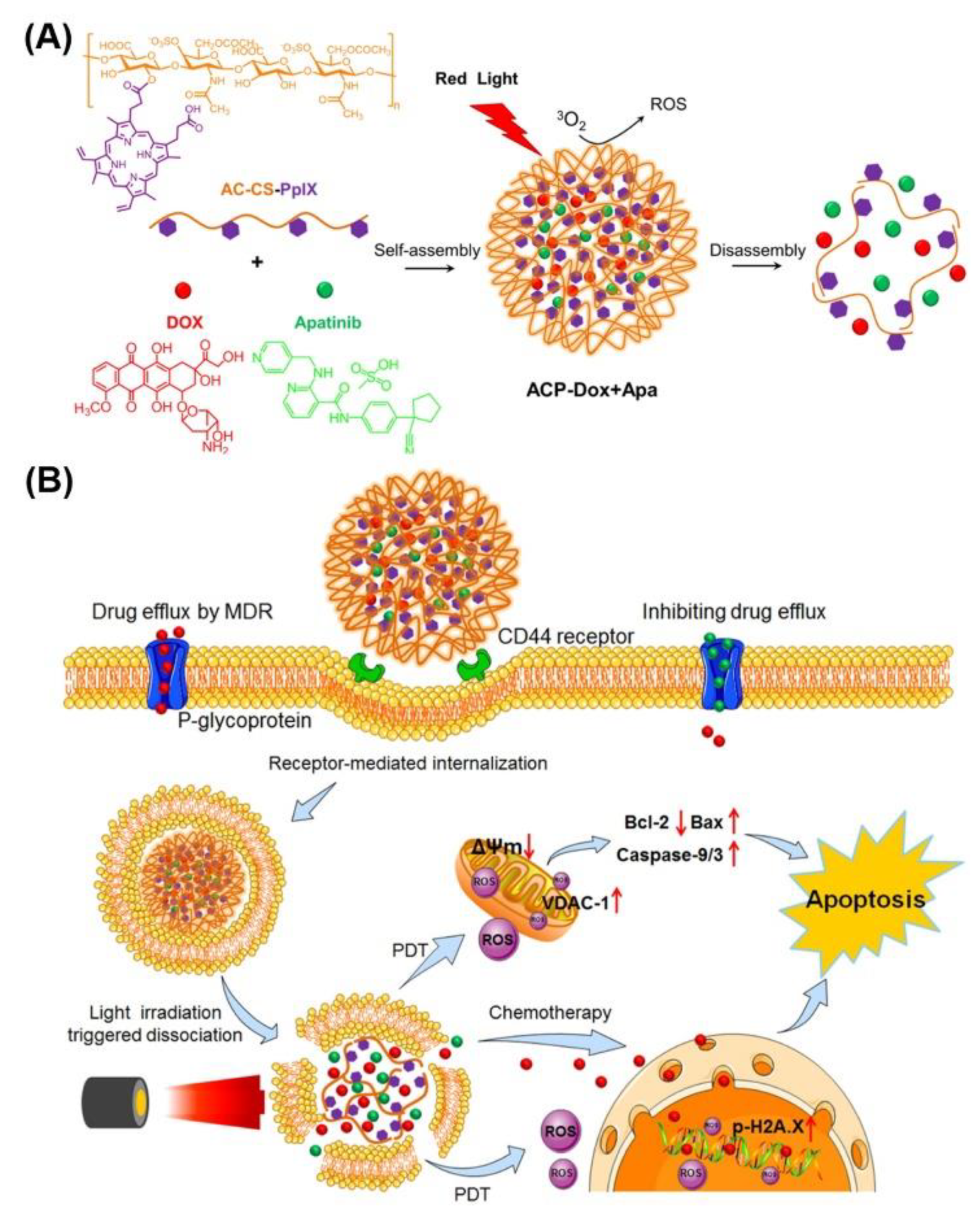 Pharmaceutics 13 00725 g005