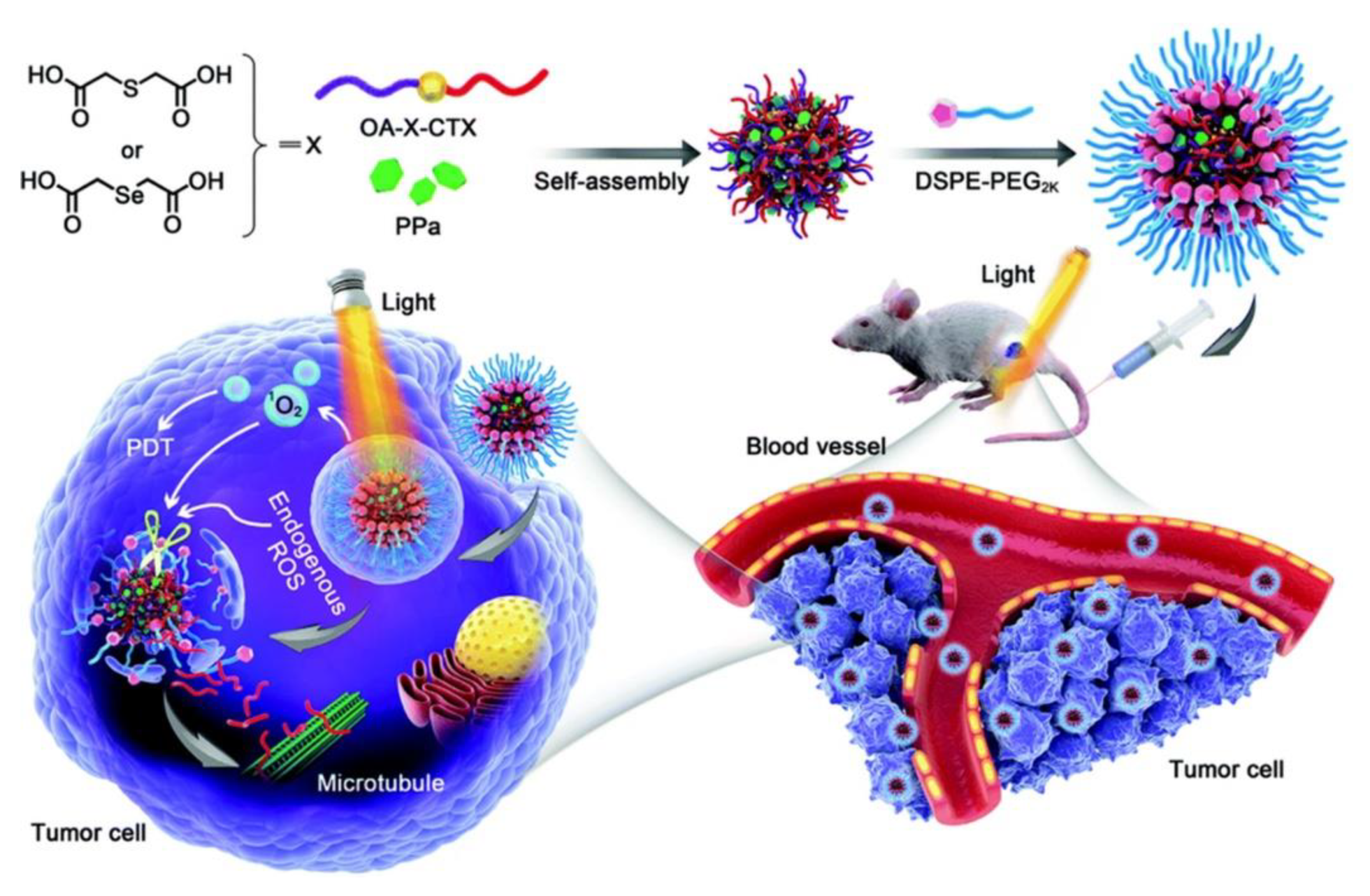 Pharmaceutics 13 00725 g006