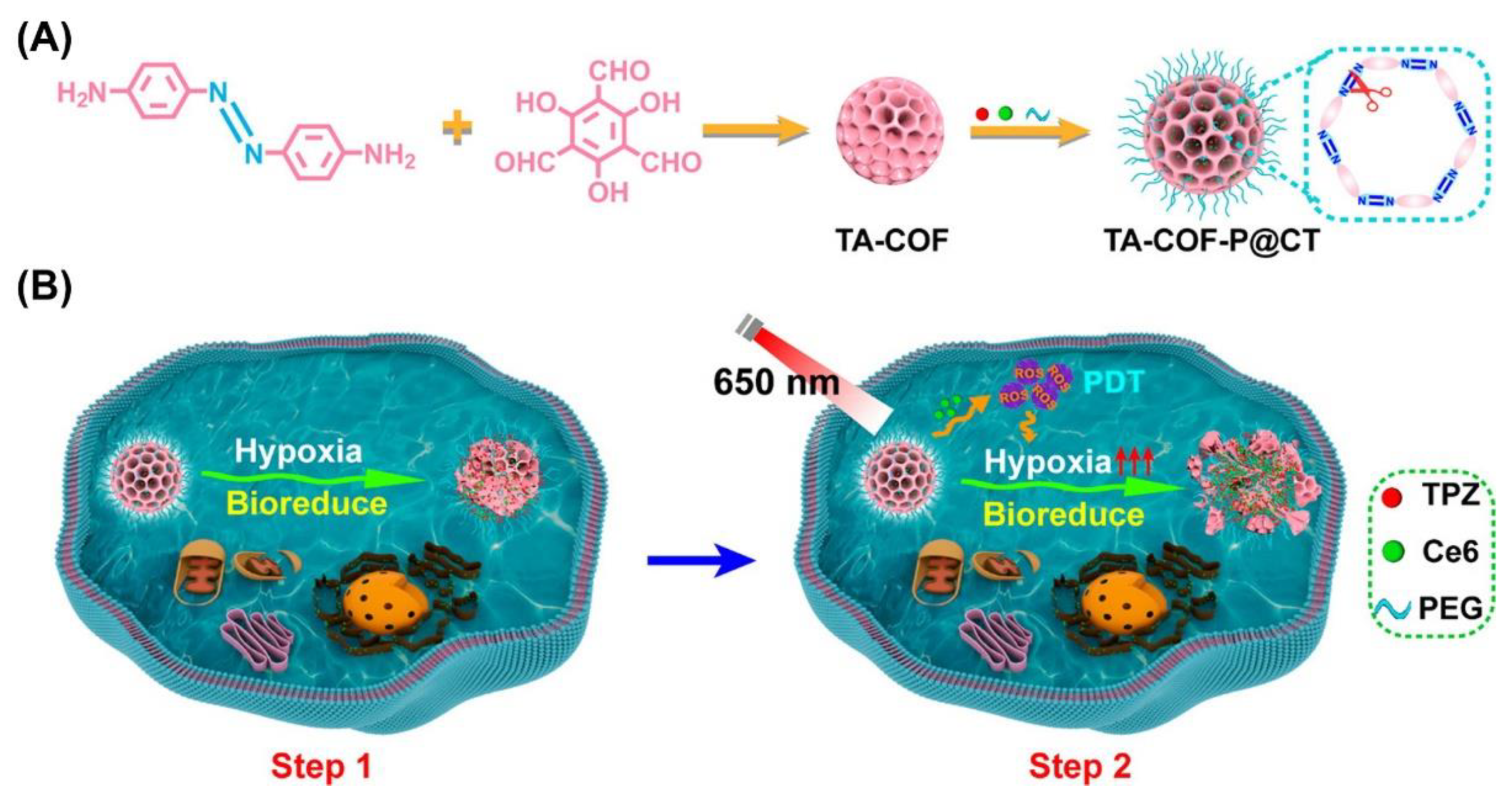 Pharmaceutics 13 00725 g007
