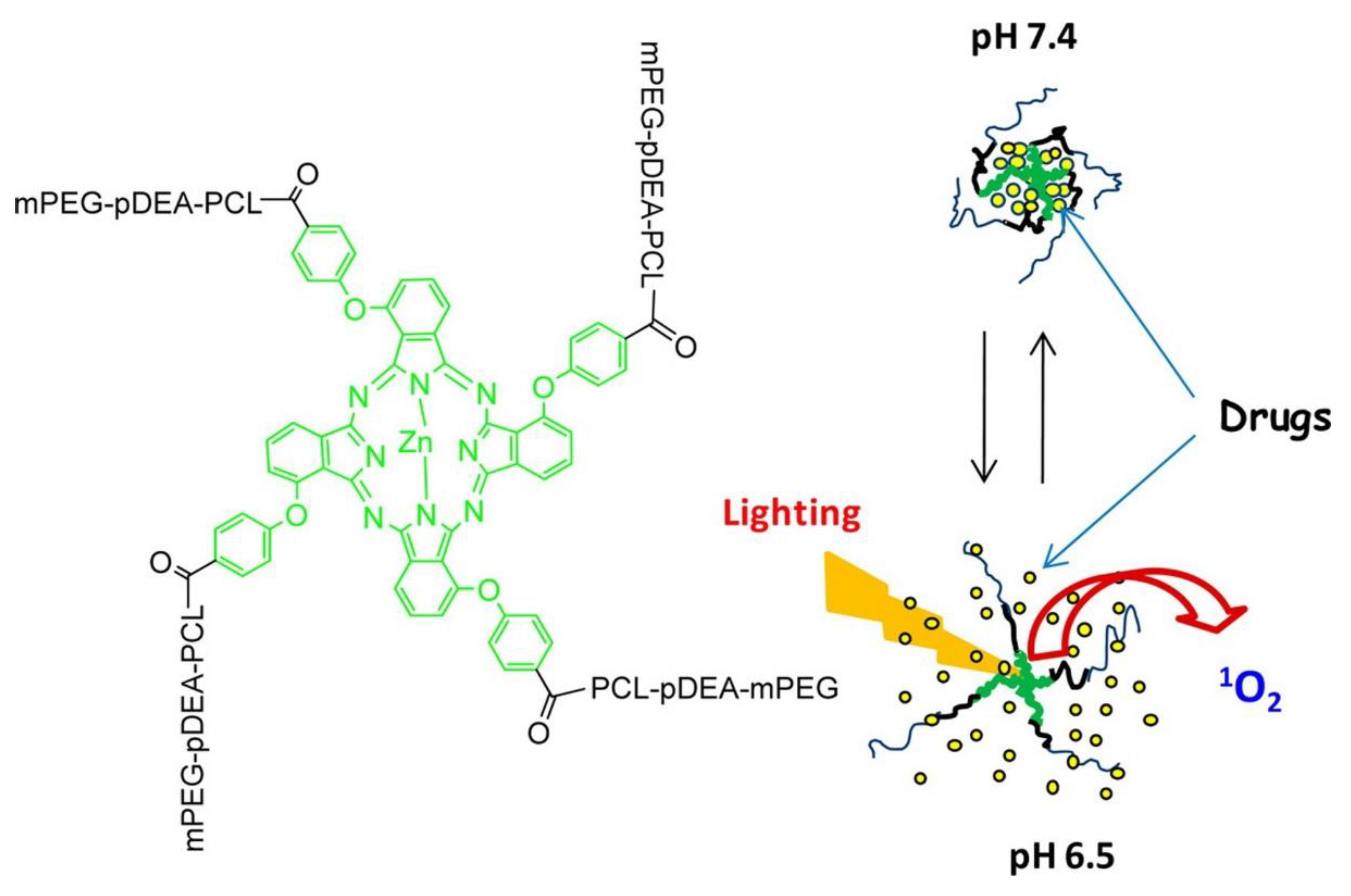 Pharmaceutics 13 00725 g010