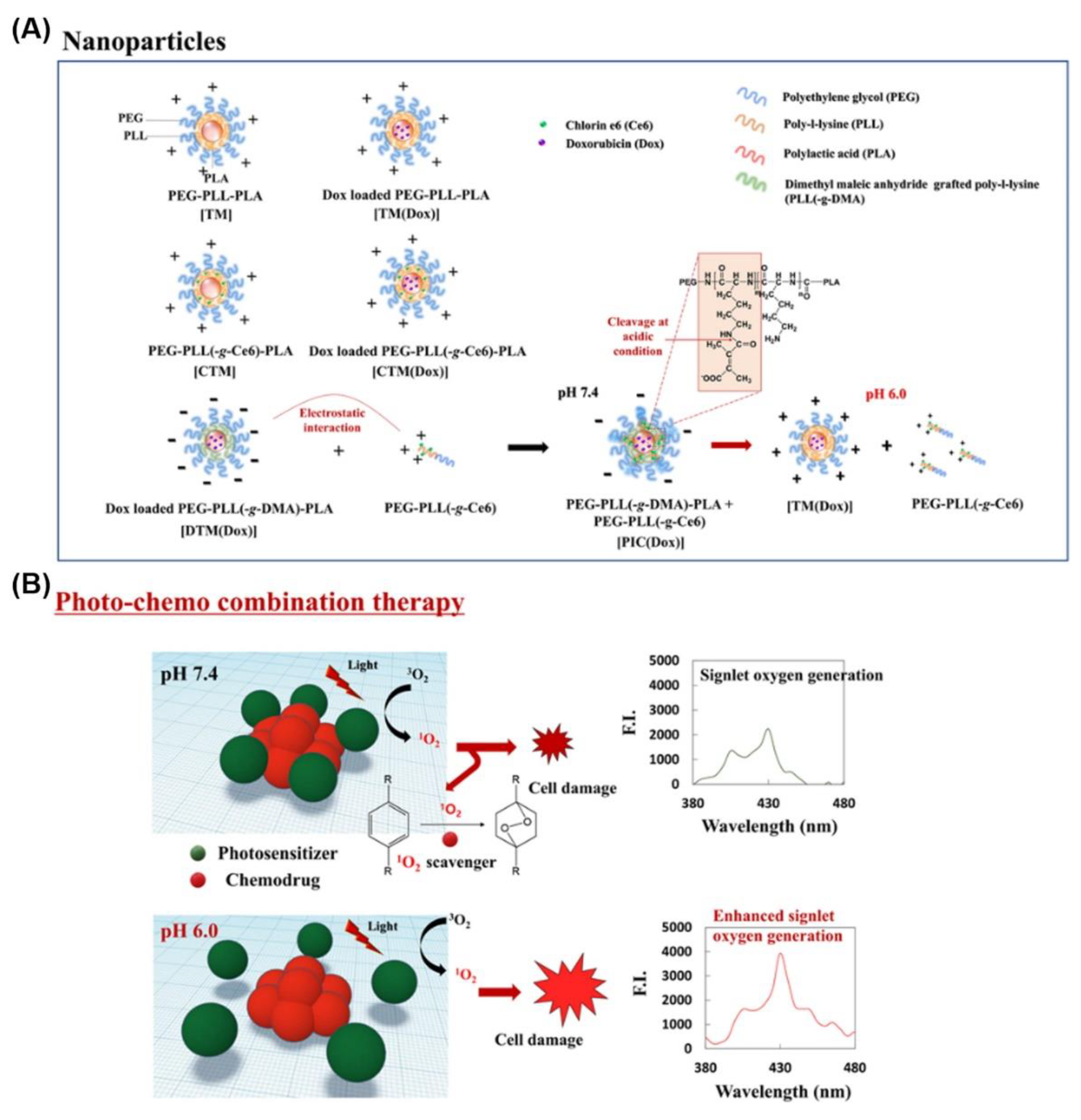Pharmaceutics 13 00725 g012