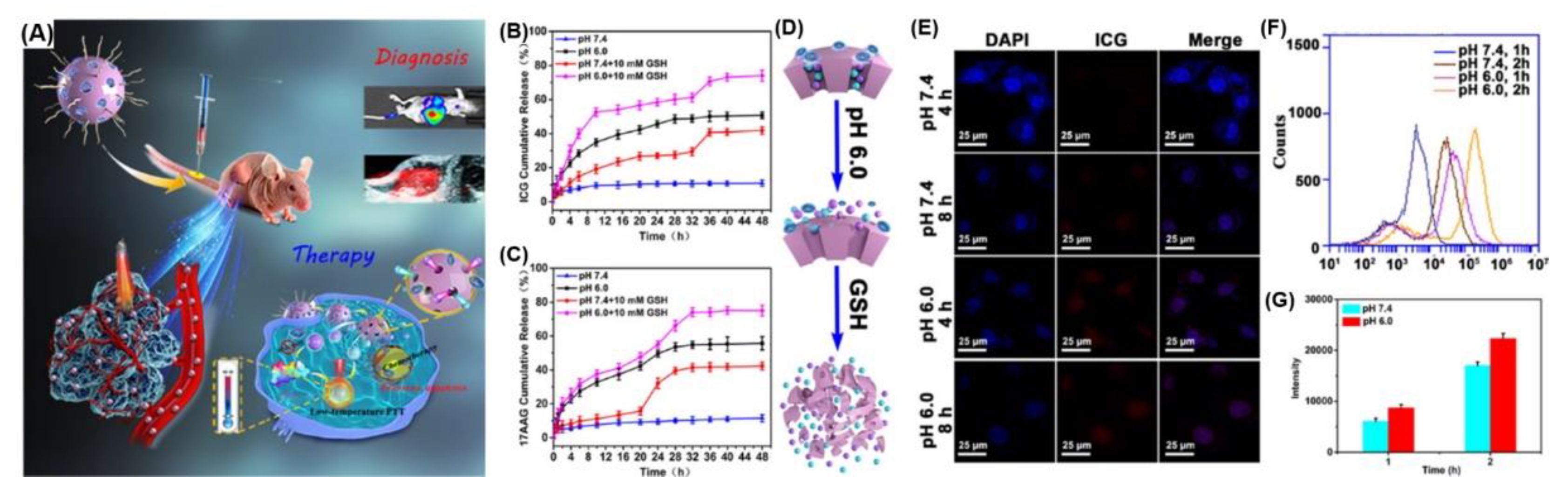 Pharmaceutics 13 00725 g013