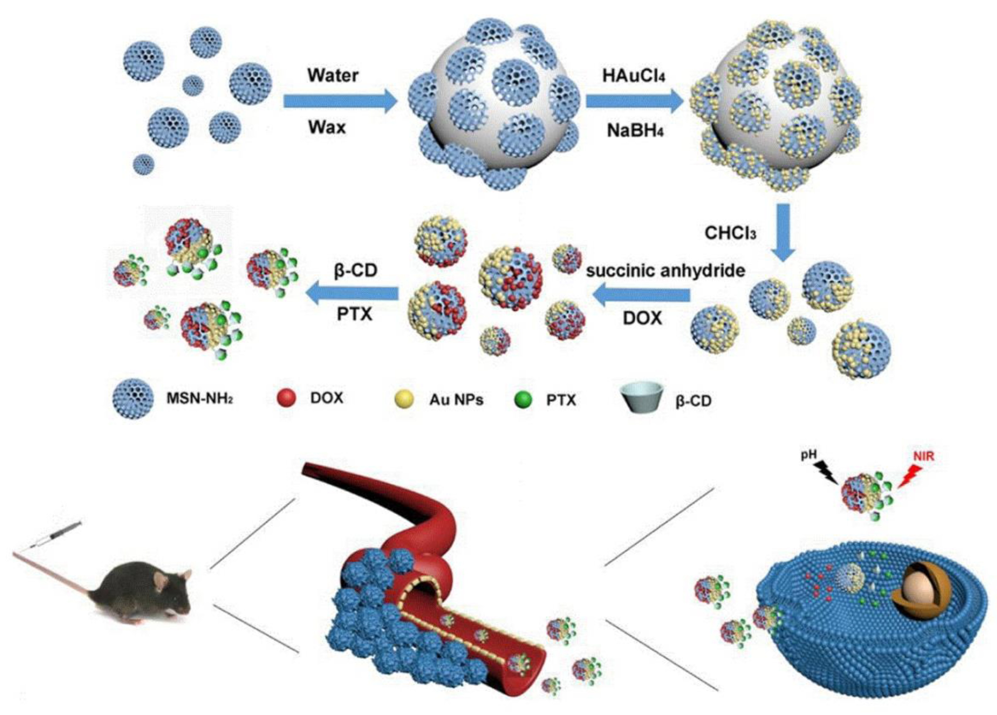 Pharmaceutics 13 00725 g015