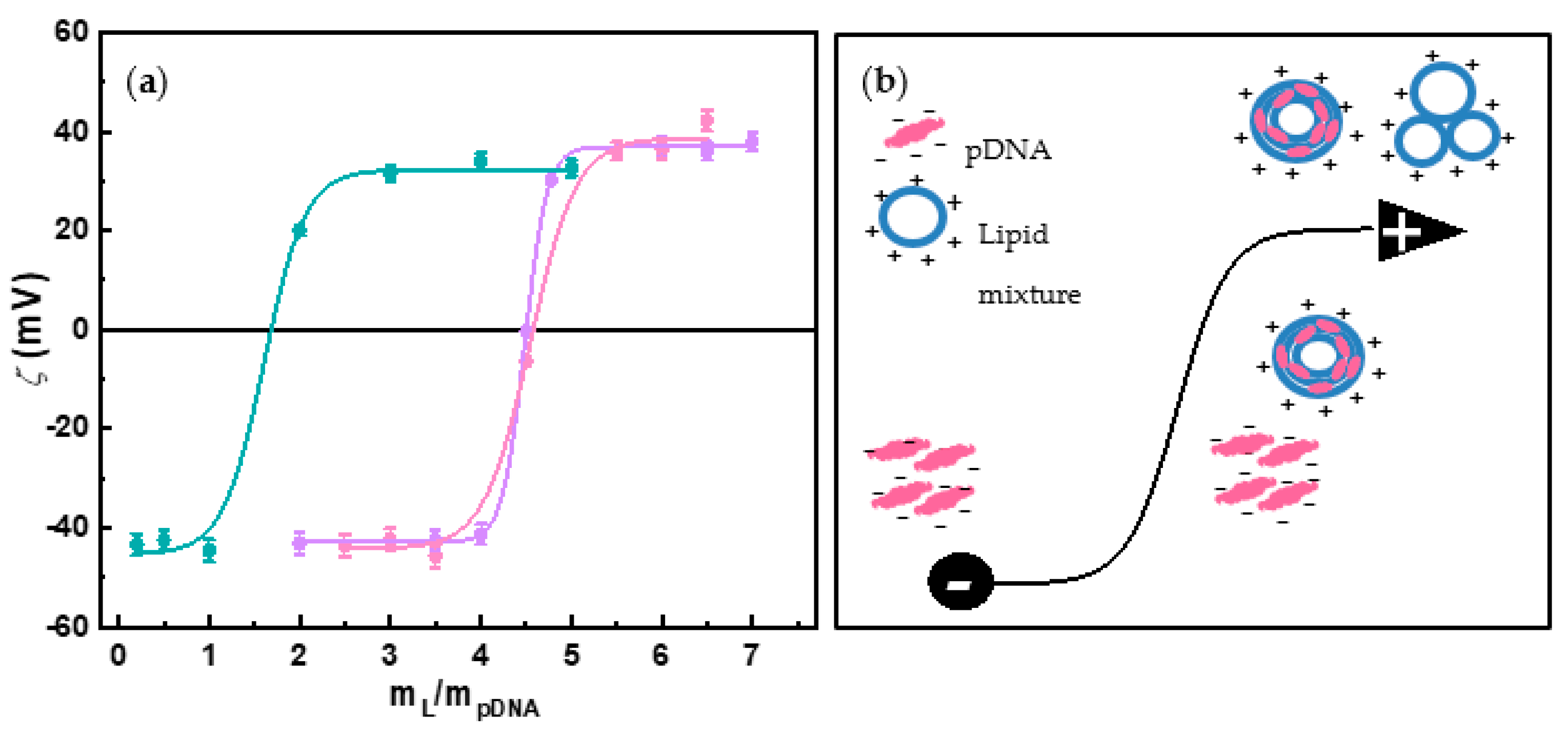 Pharmaceutics 13 00729 g001