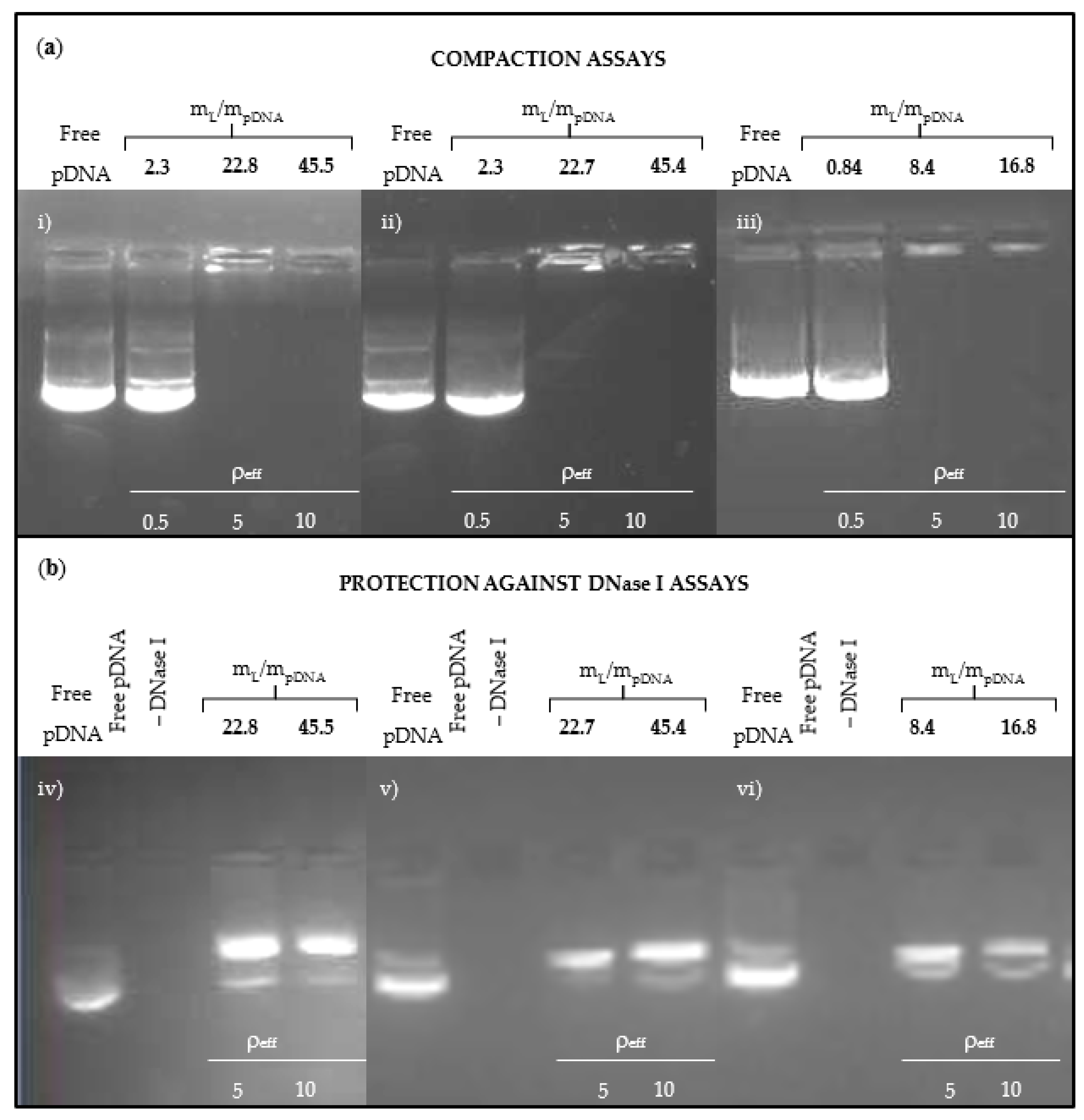 Pharmaceutics 13 00729 g002