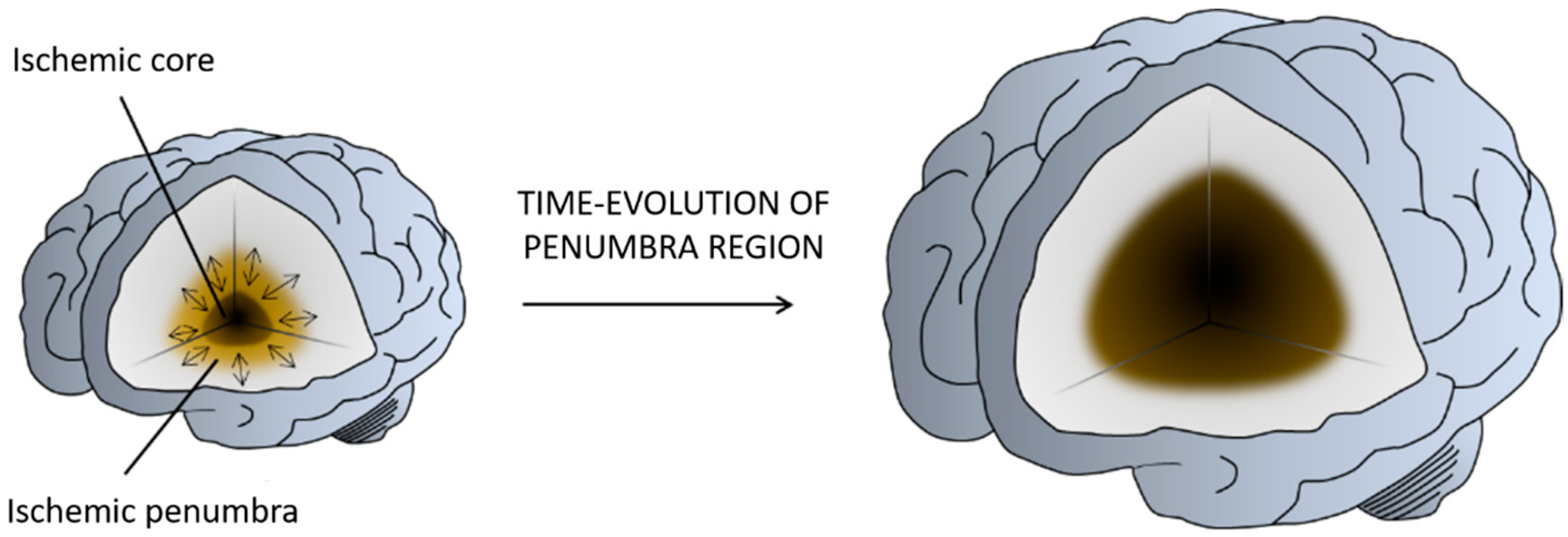 Pharmaceutics 13 00757 g002