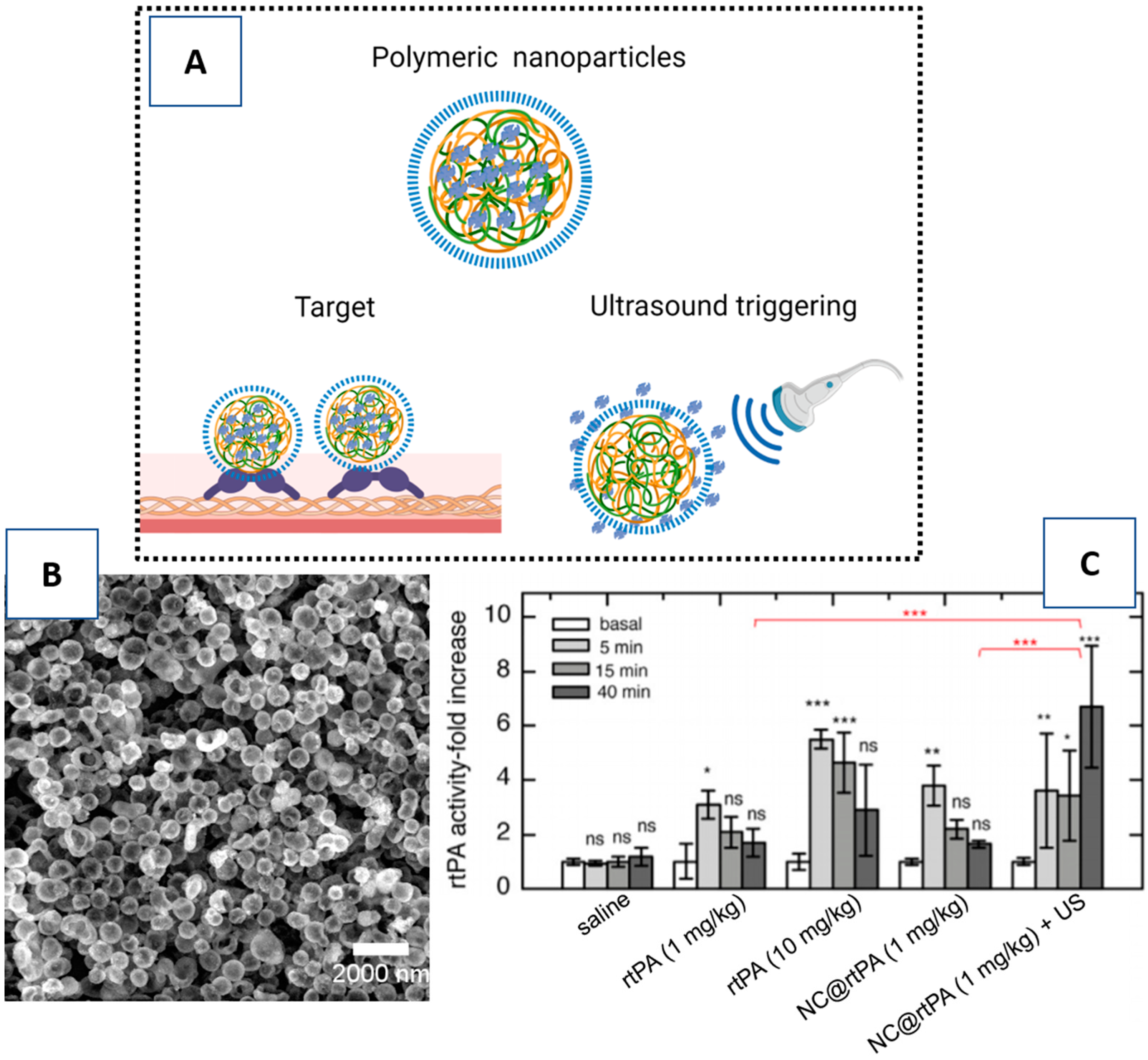 Pharmaceutics 13 00757 g008