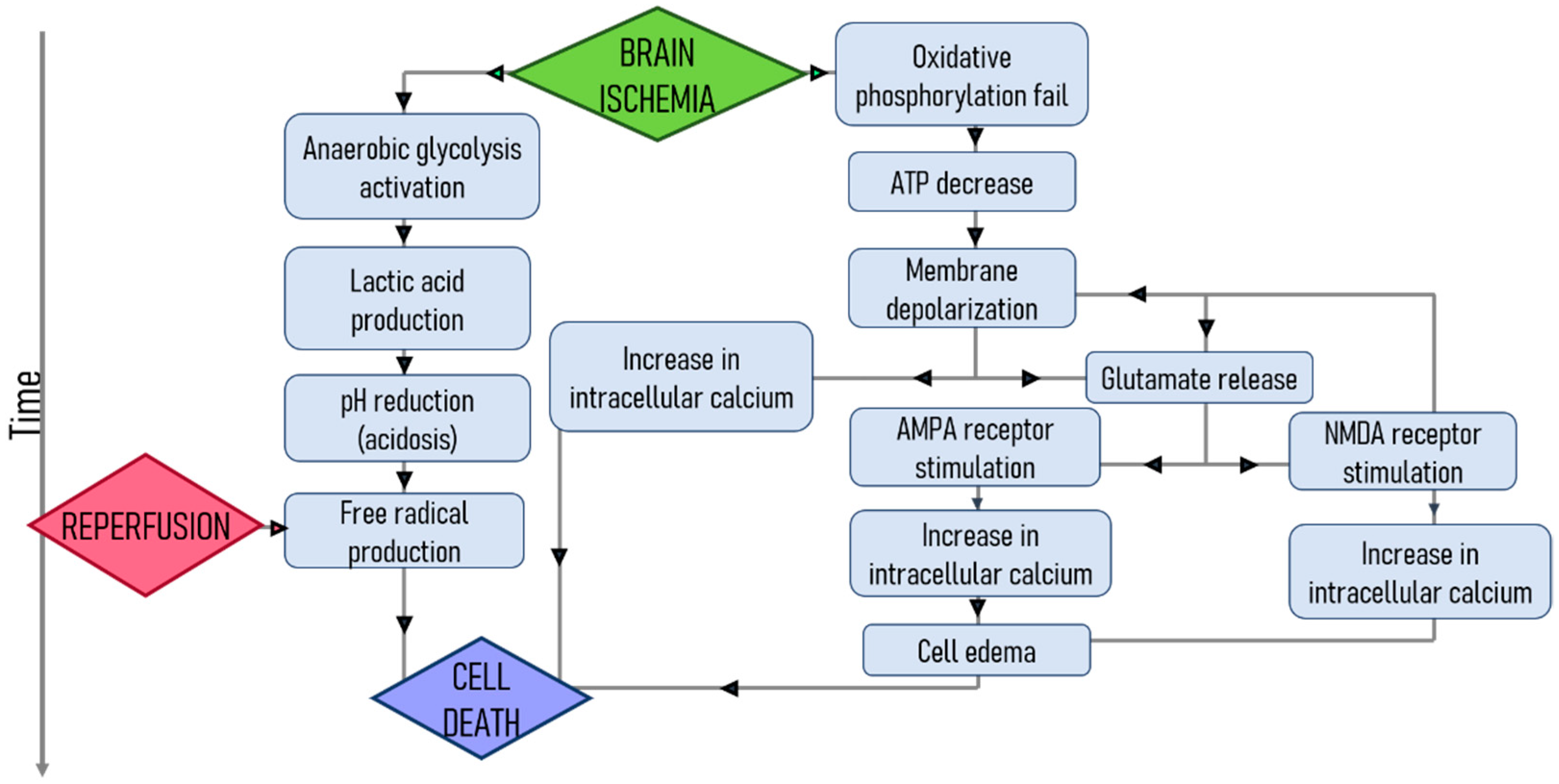 Pharmaceutics 13 00757 g009