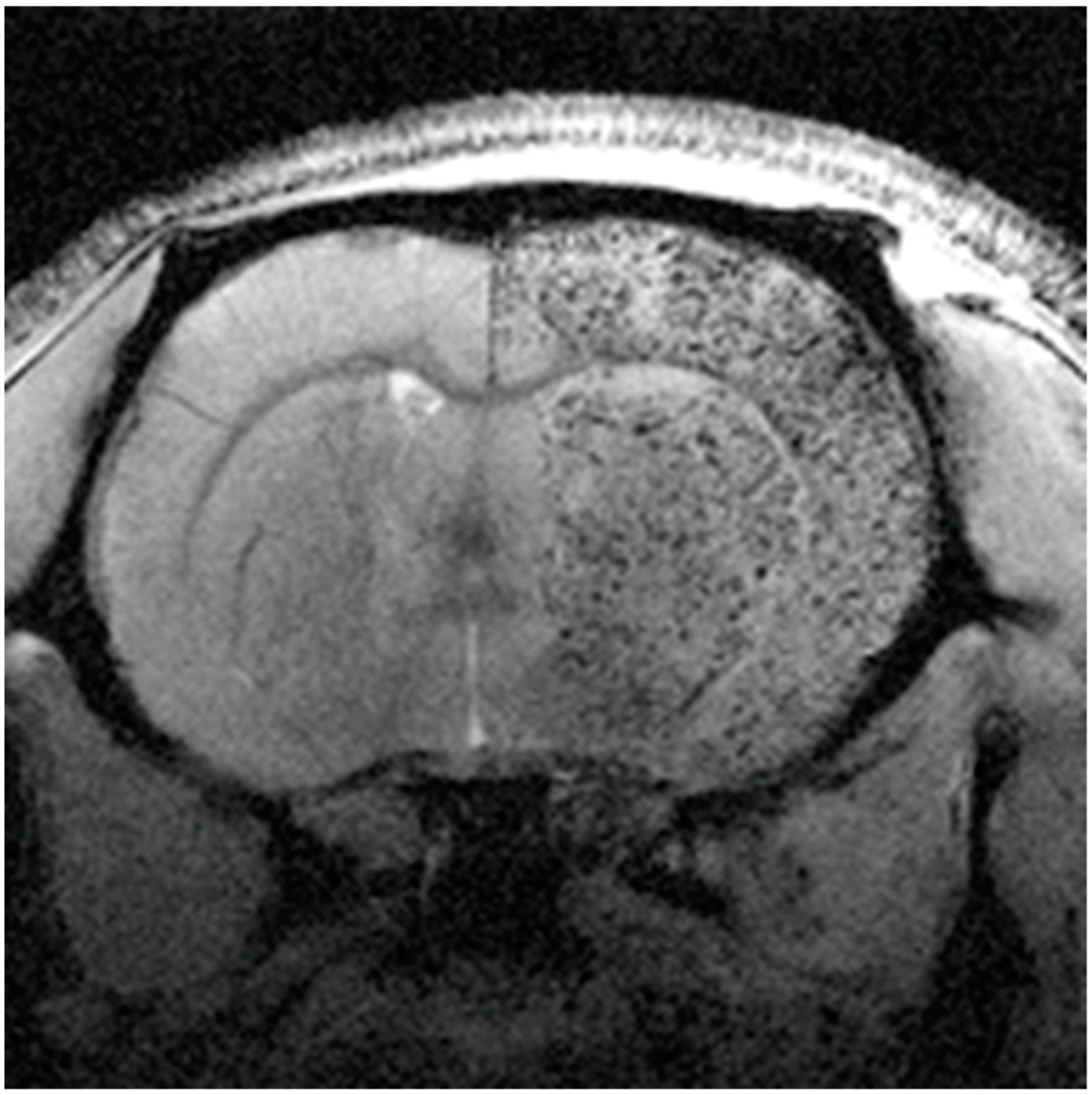 Pharmaceutics 13 00757 g011