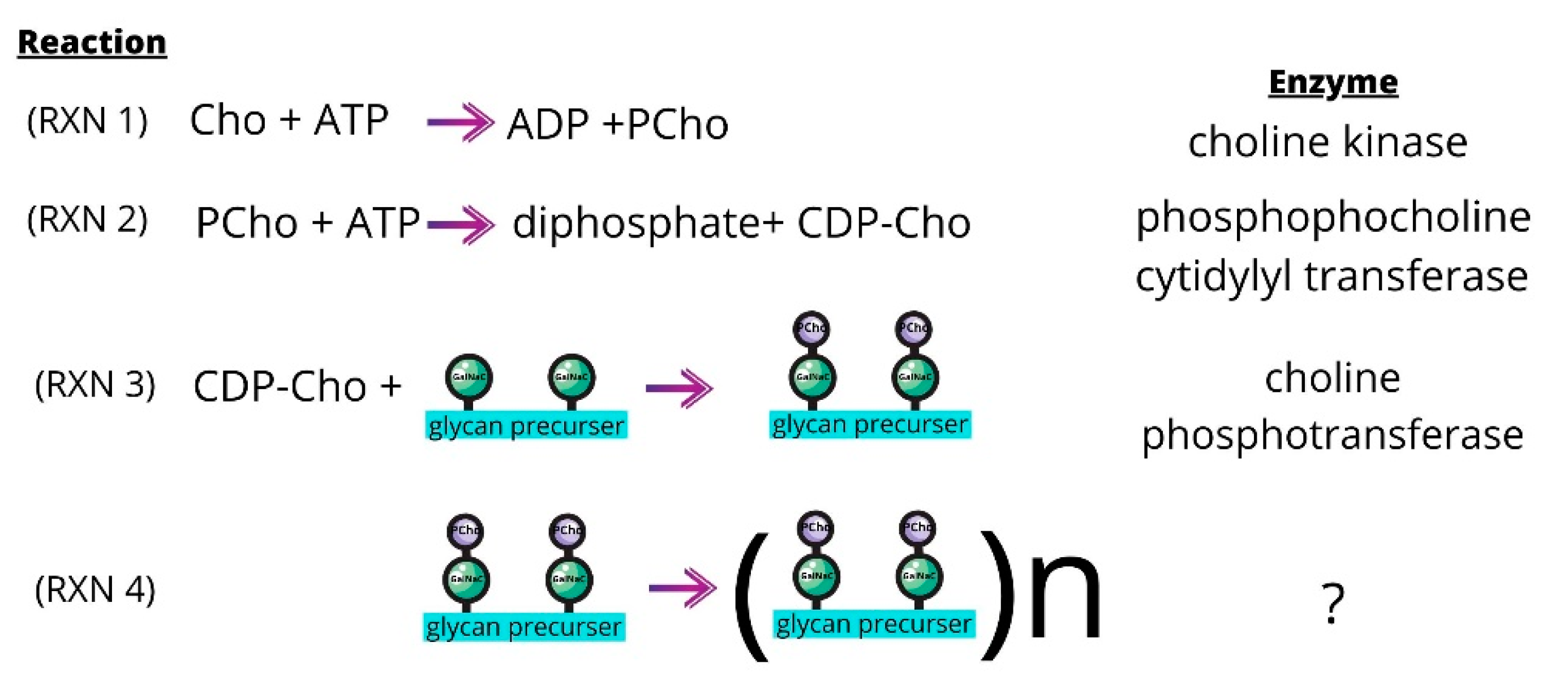 Pharmaceutics 13 00788 g006 Pharmaceutics 13 00788 g006