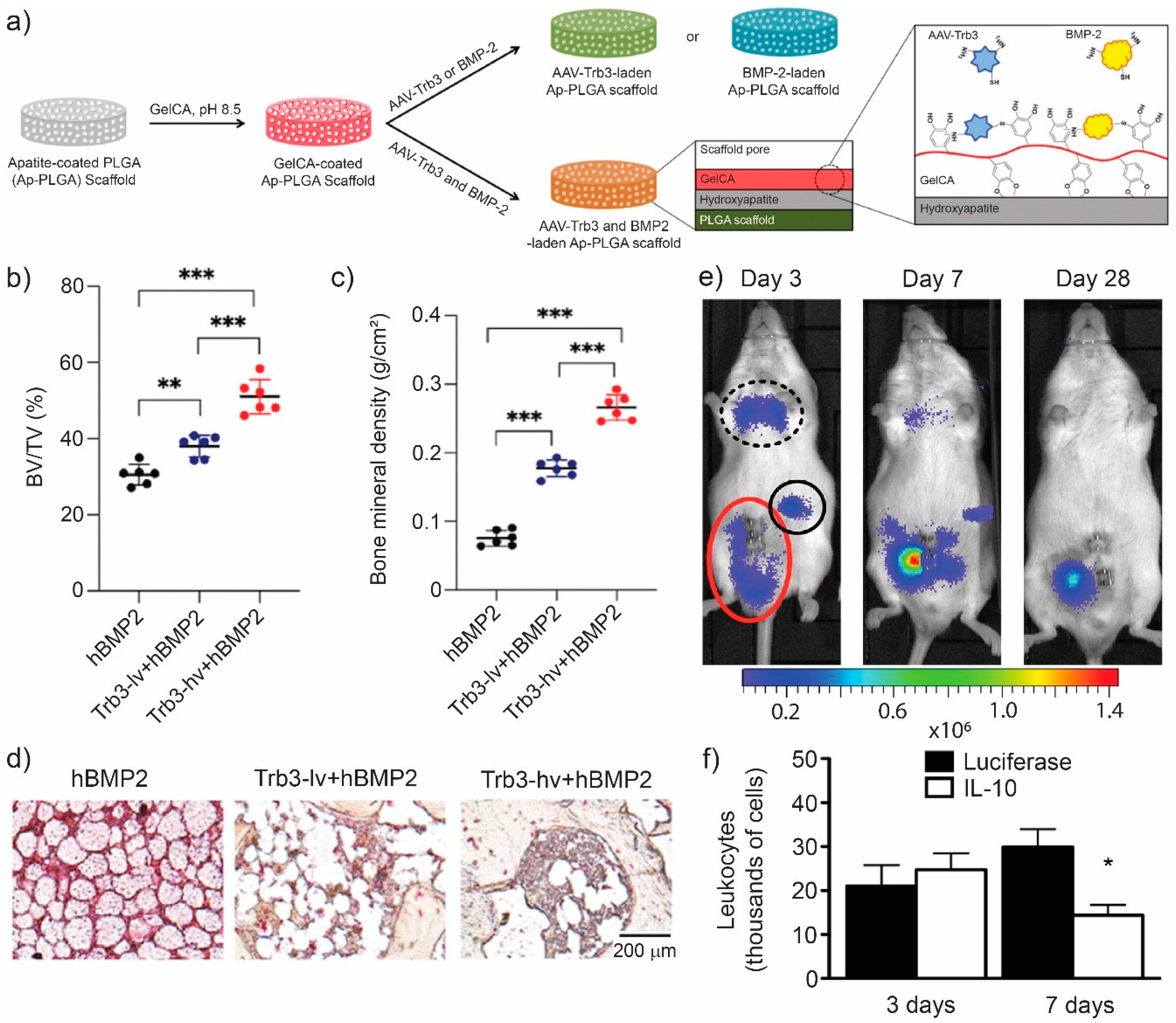 Pharmaceutics 13 00792 g005