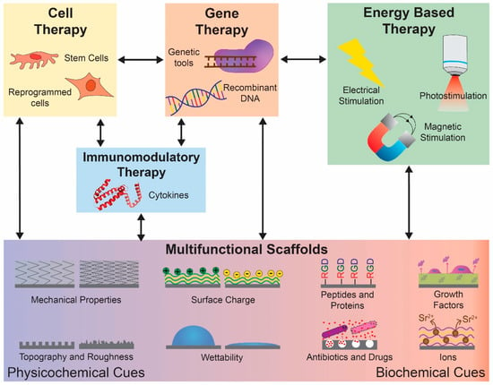 Combining electrical stimulation and tissue engineering to treat