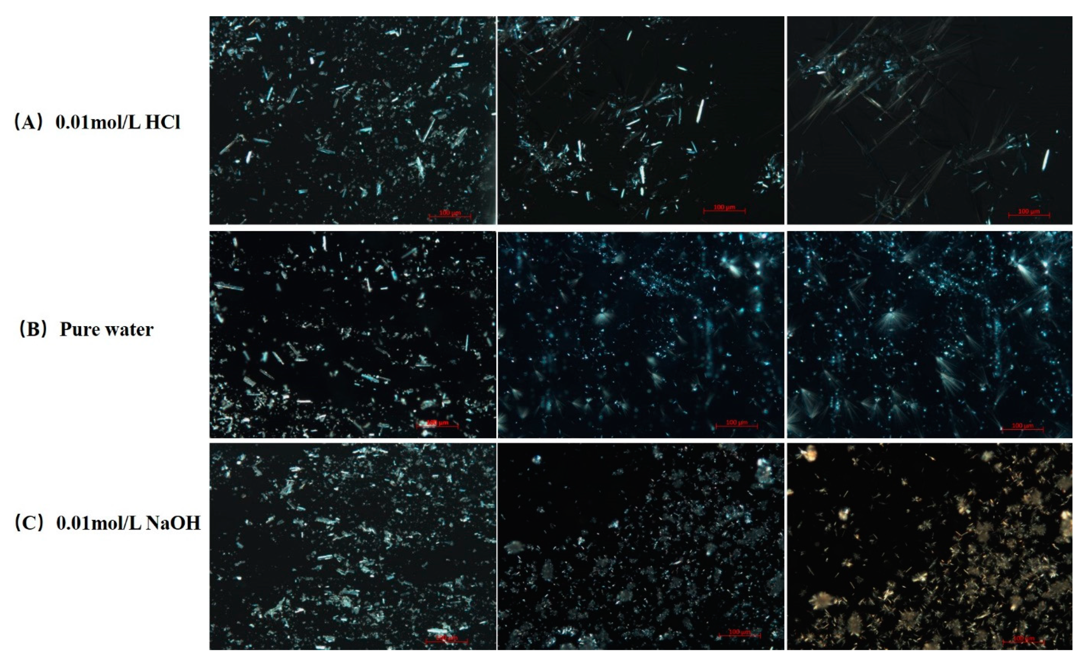 Pharmaceutics 13 00802 g008