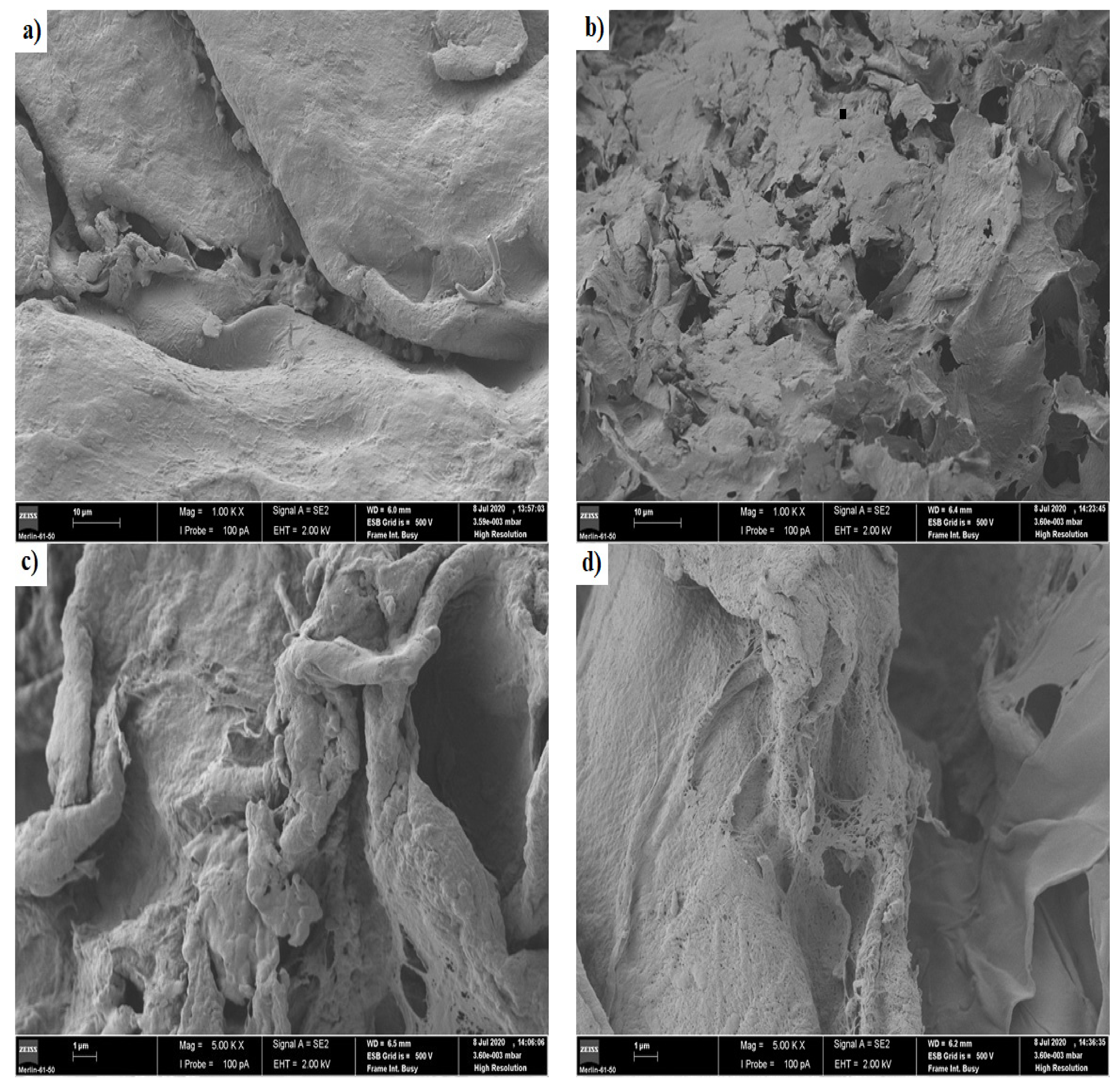 Pharmaceutics 13 00842 g006 Pharmaceutics 13 00842 g006
