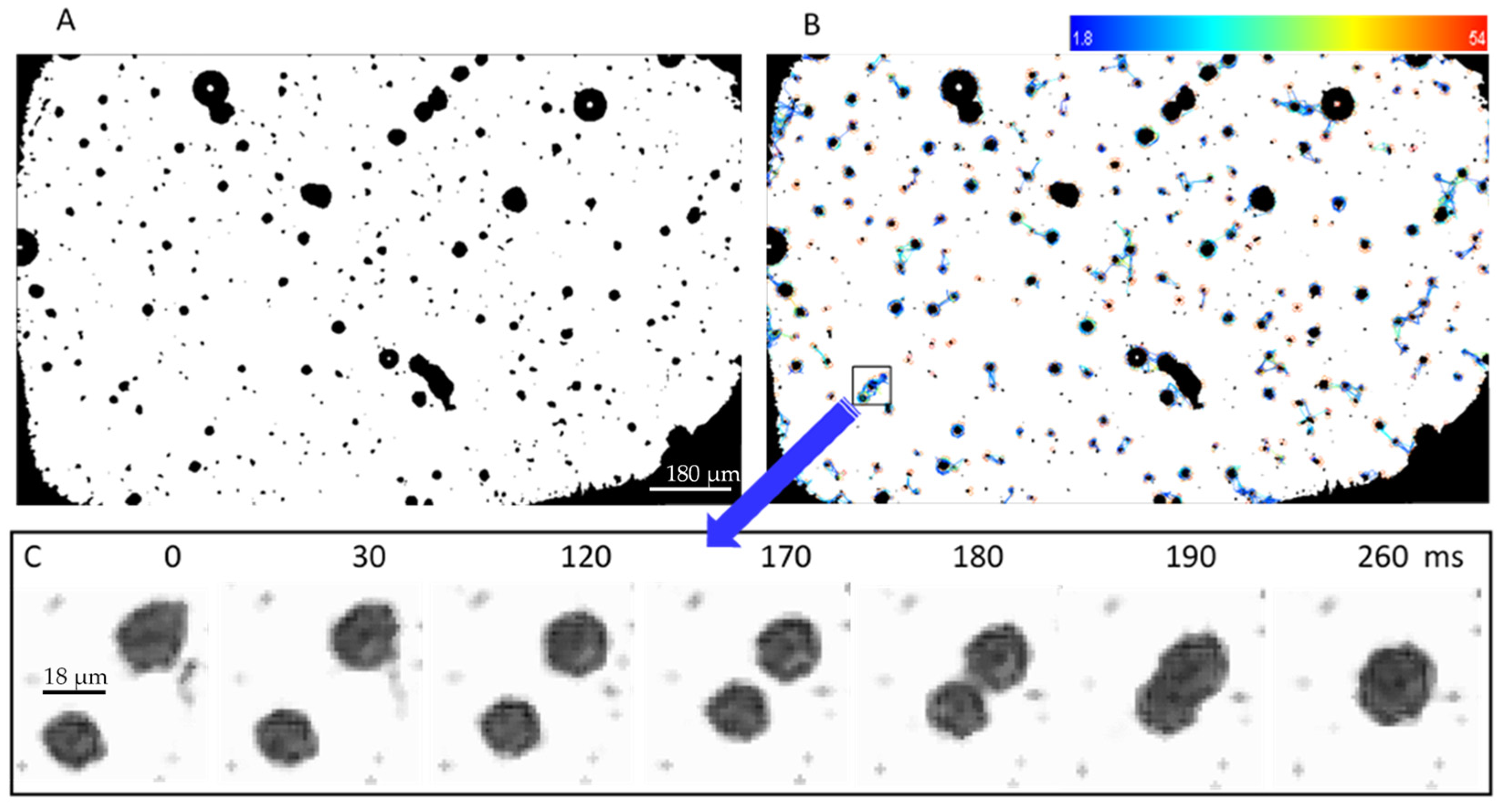 Pharmaceutics 13 00847 g005