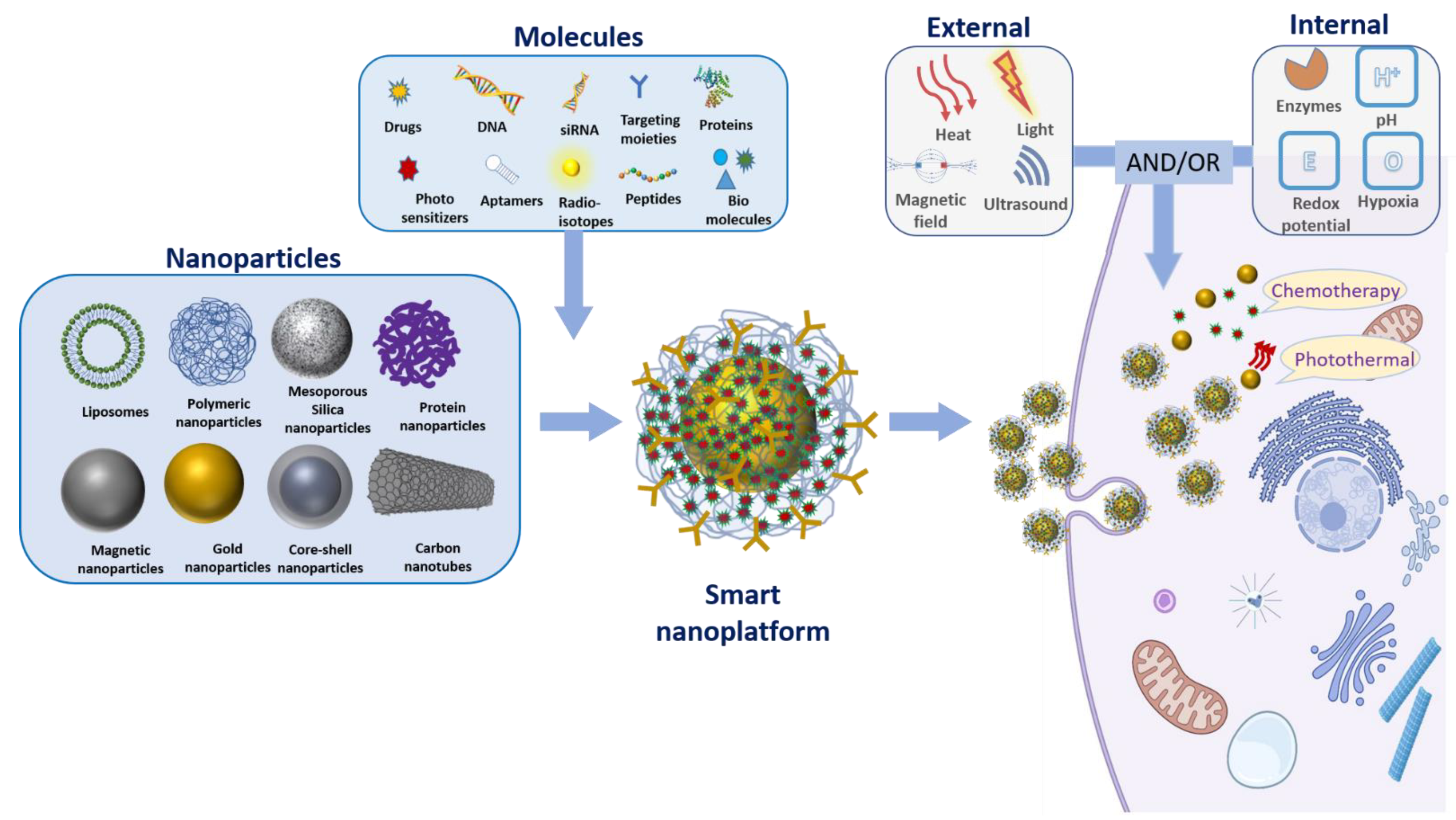 Pharmaceutics 13 00853 g001