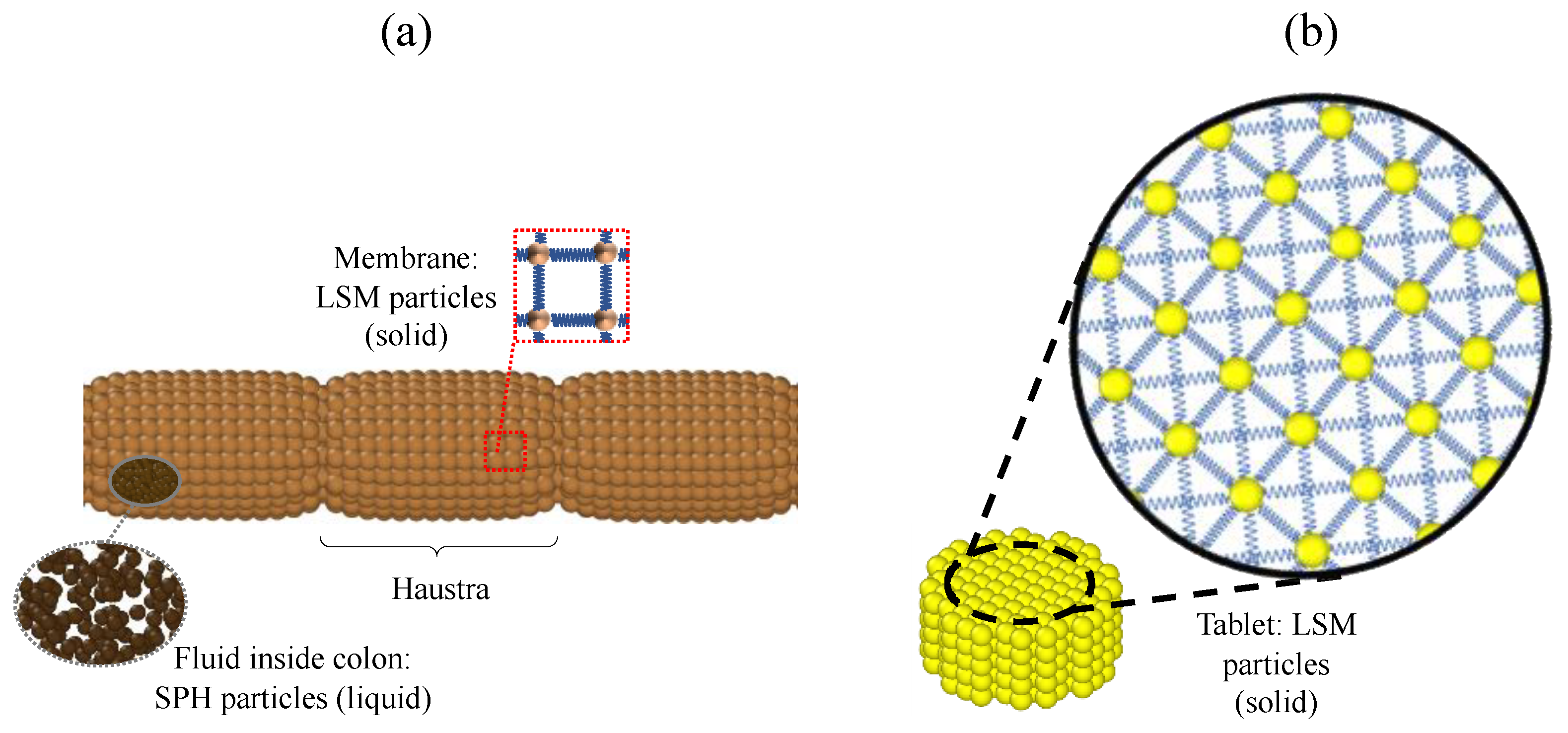 Pharmaceutics 13 00859 g001 Pharmaceutics 13 00859 g001