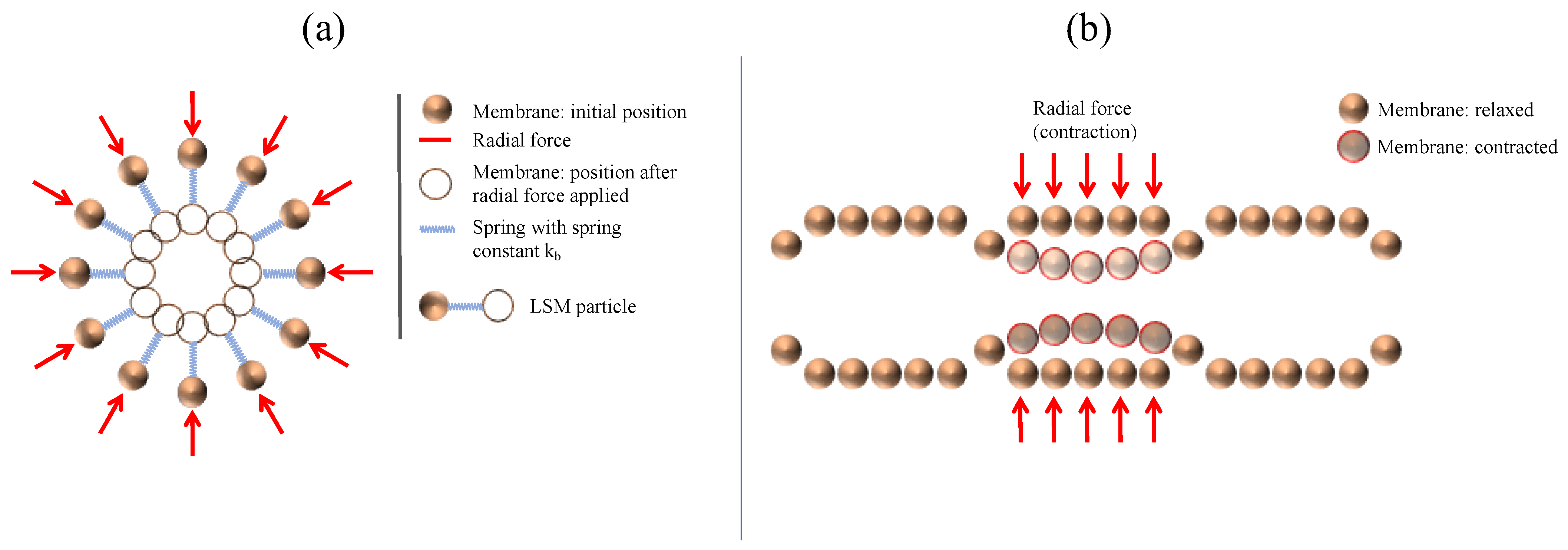 Pharmaceutics 13 00859 g002 Pharmaceutics 13 00859 g002