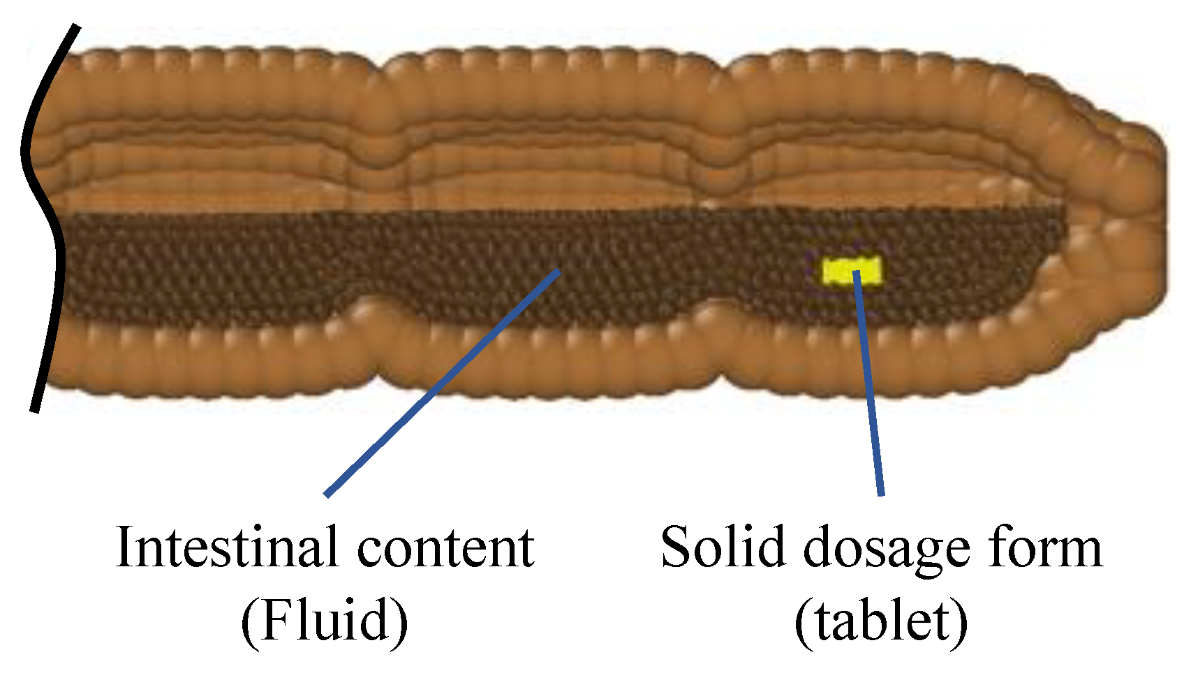 Pharmaceutics 13 00859 g006 Pharmaceutics 13 00859 g006