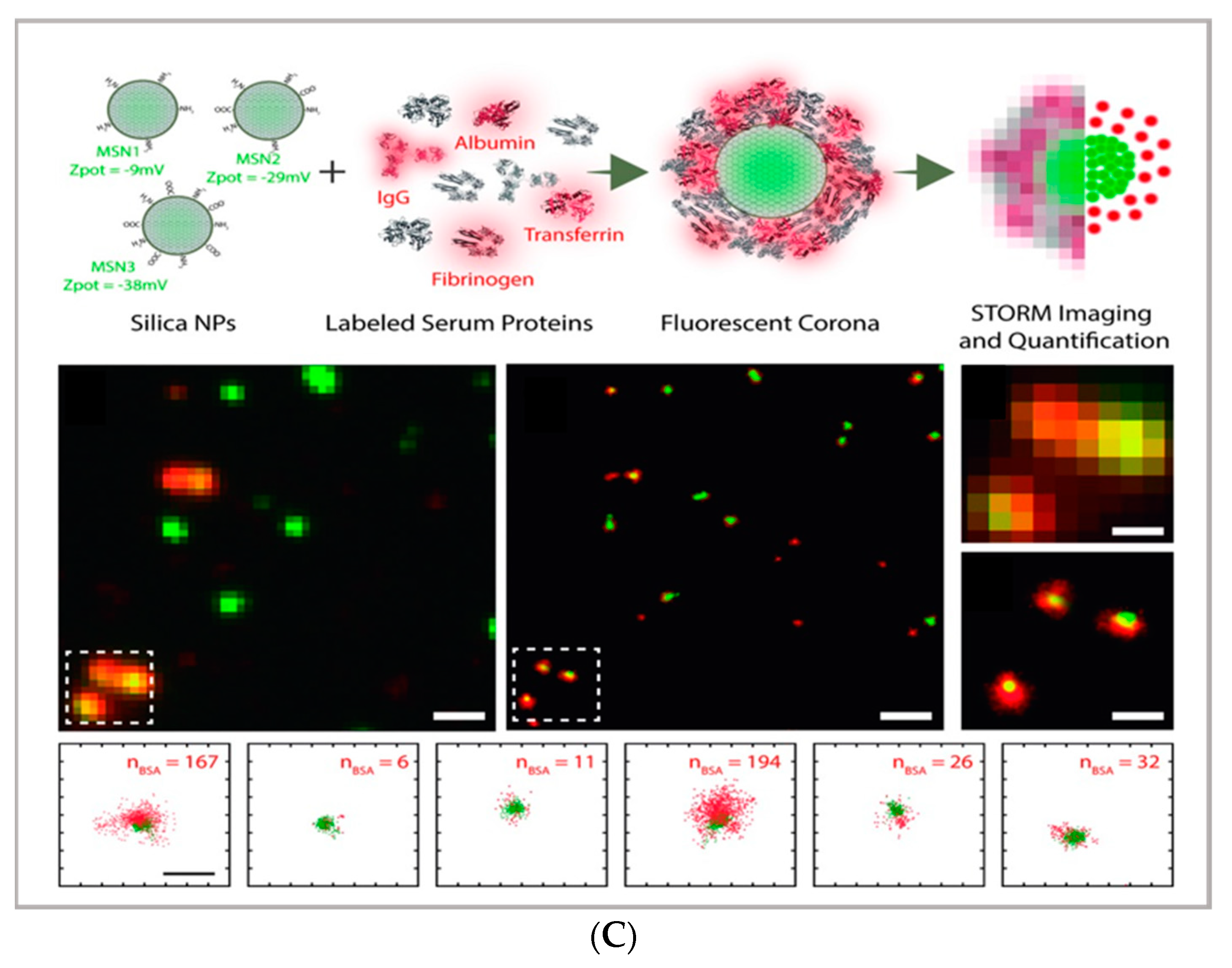 Pharmaceutics 13 00861 g001b