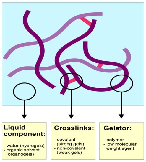 Pharmaceutics Free Full Text Recent Advances in Polymer Based