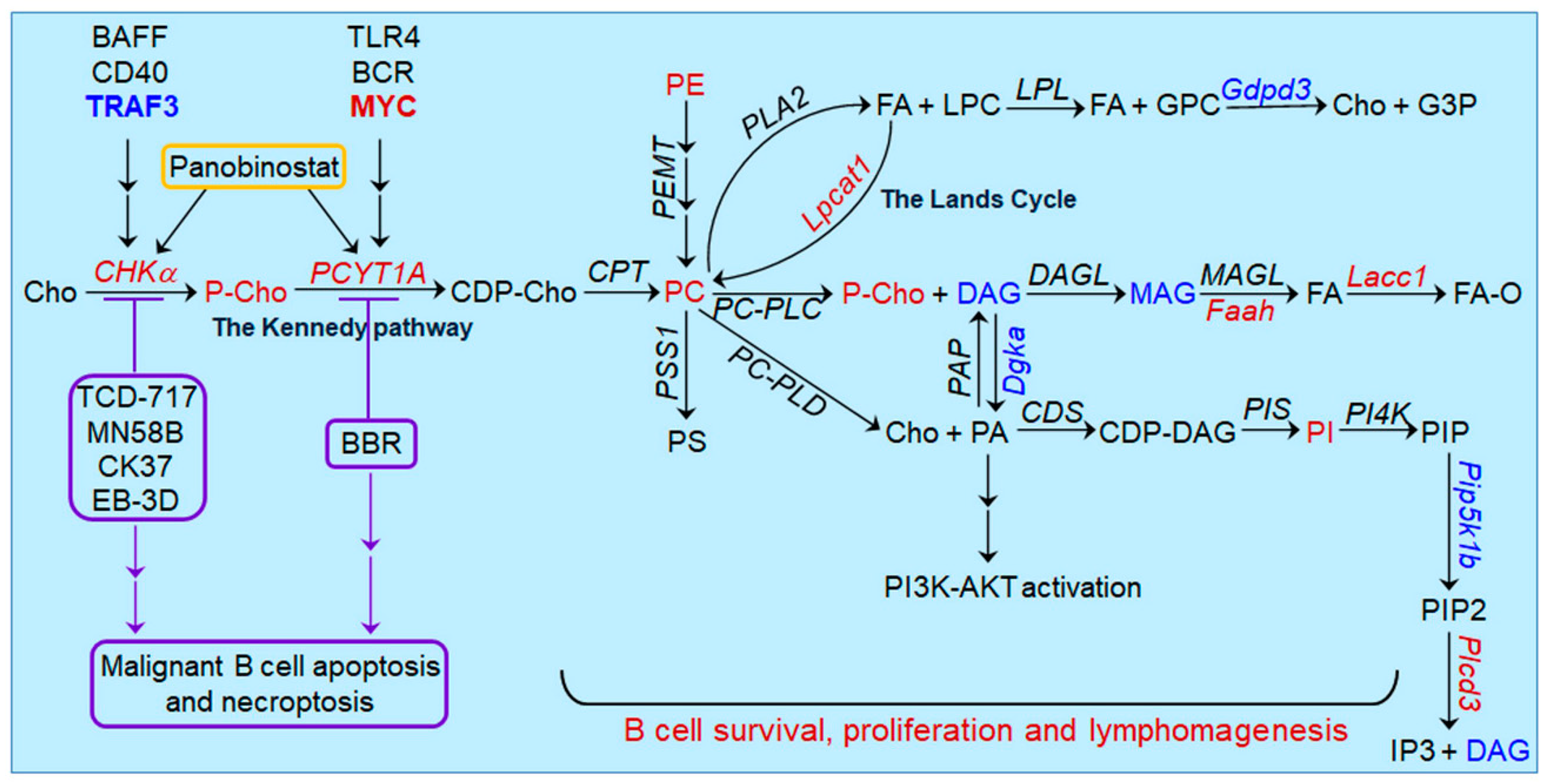 Pharmaceutics 13 00911 g002 Pharmaceutics 13 00911 g002