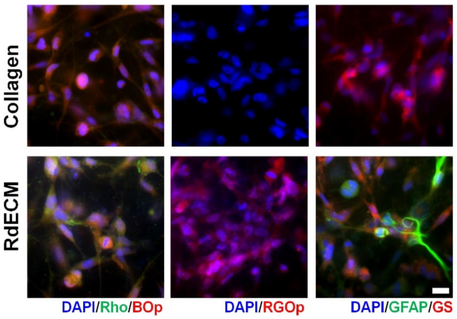 Pharmaceutics 13 00934 g005