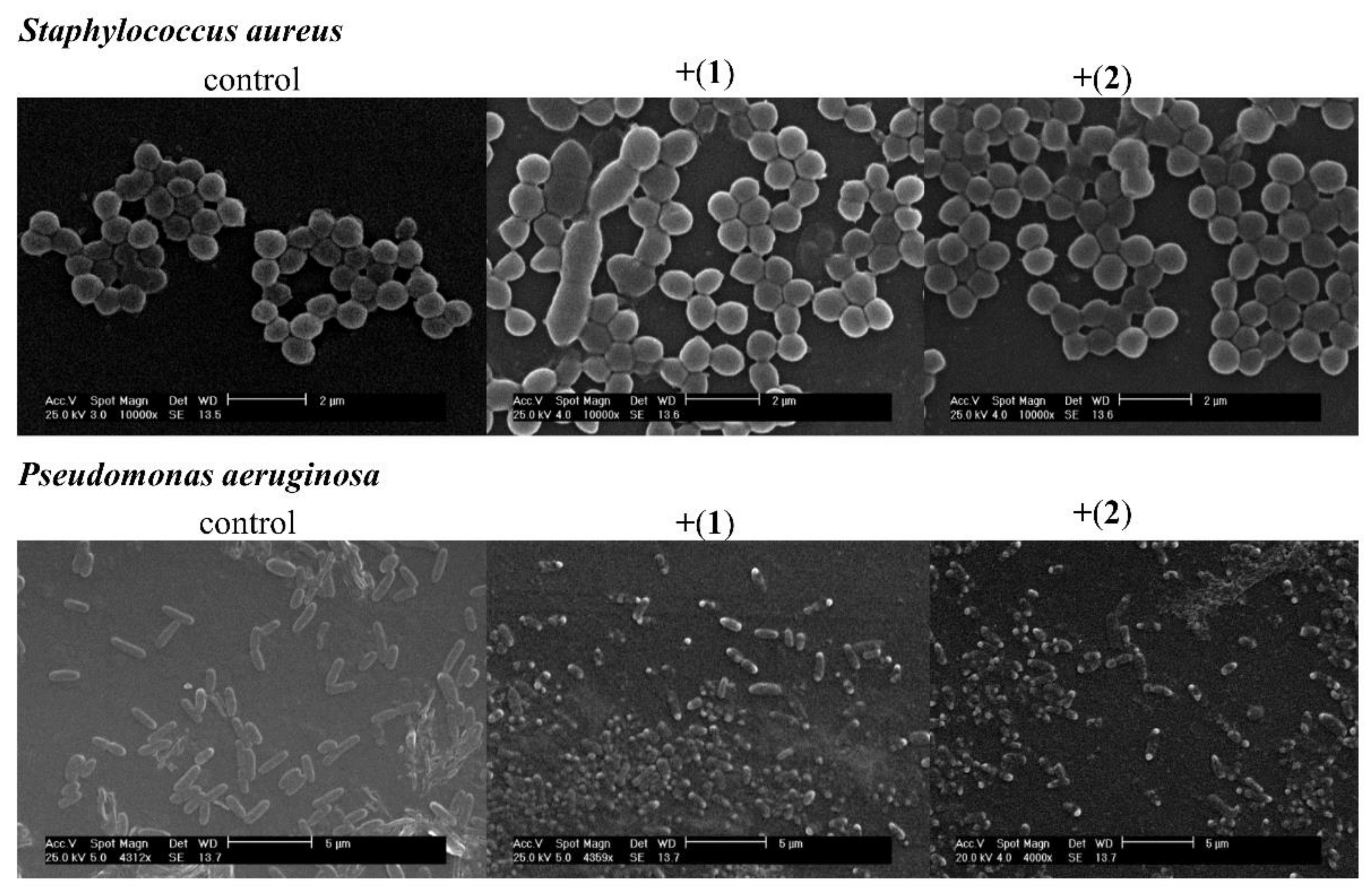 Pharmaceutics 13 00946 g004