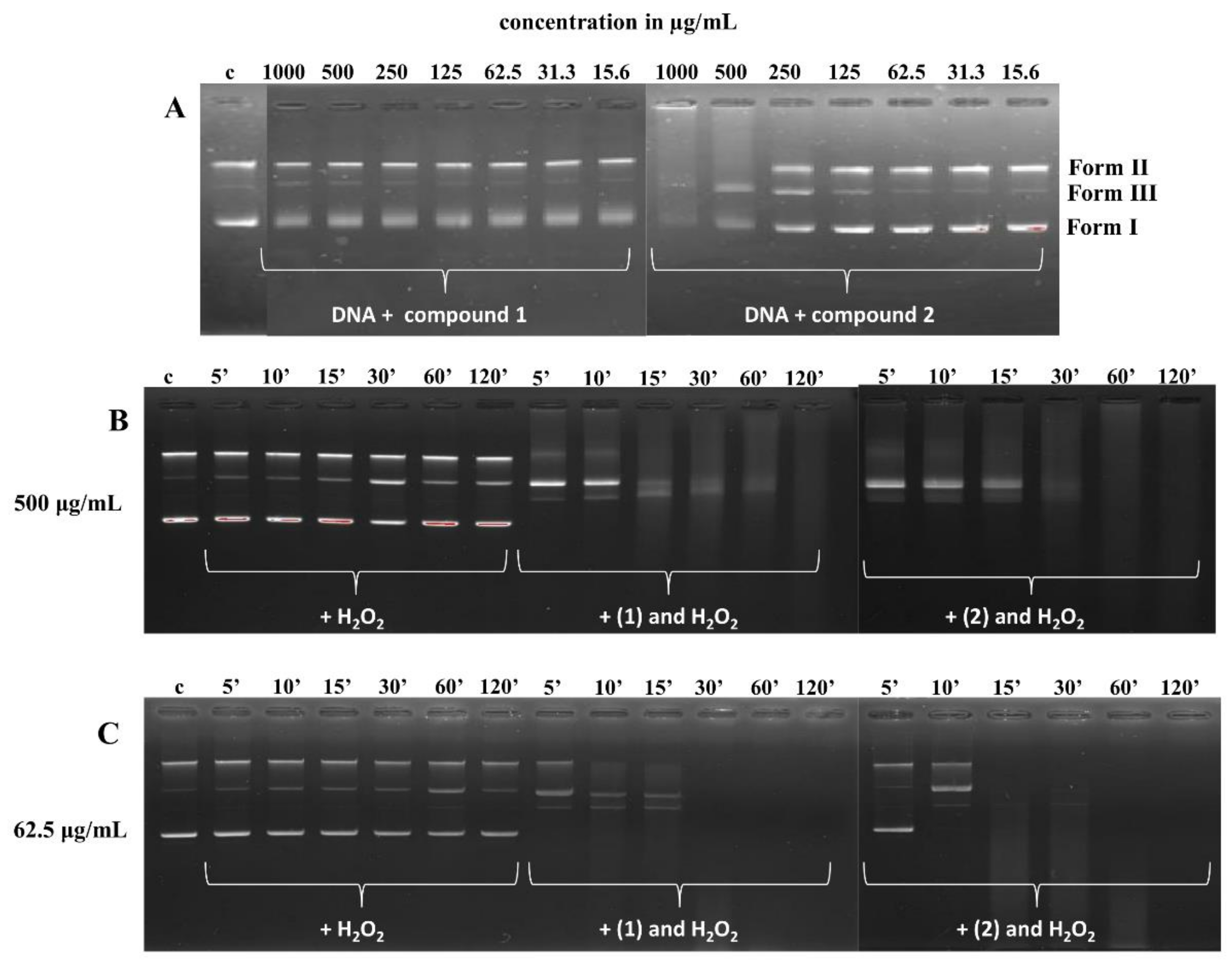 Pharmaceutics 13 00946 g008