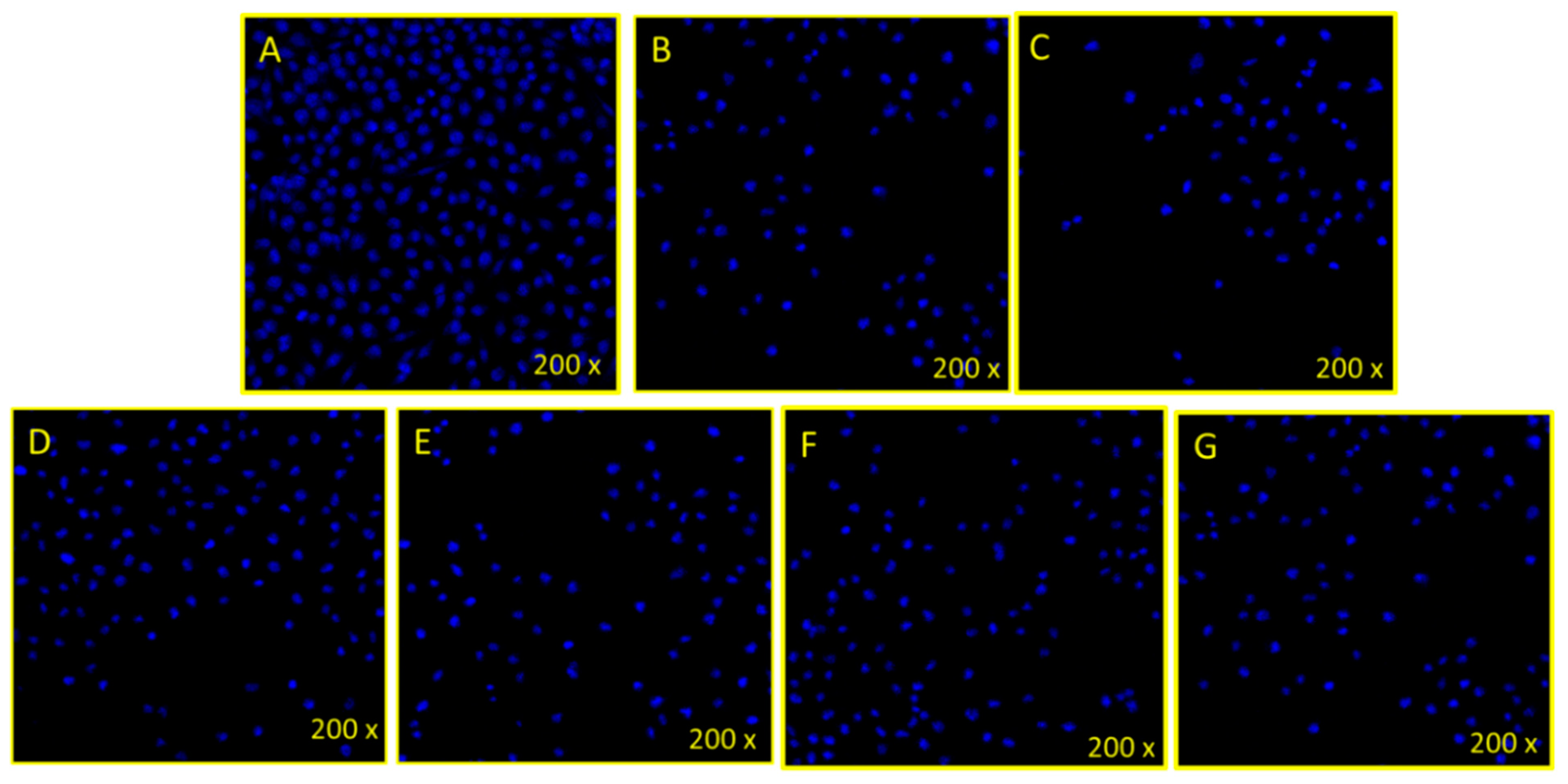 Pharmaceutics 13 00962 g005