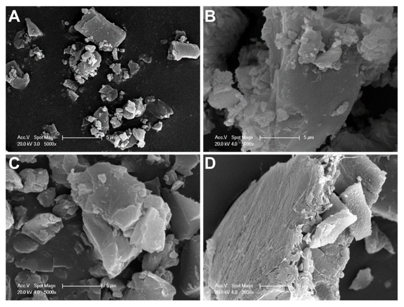 Pharmaceutics 13 00973 g002