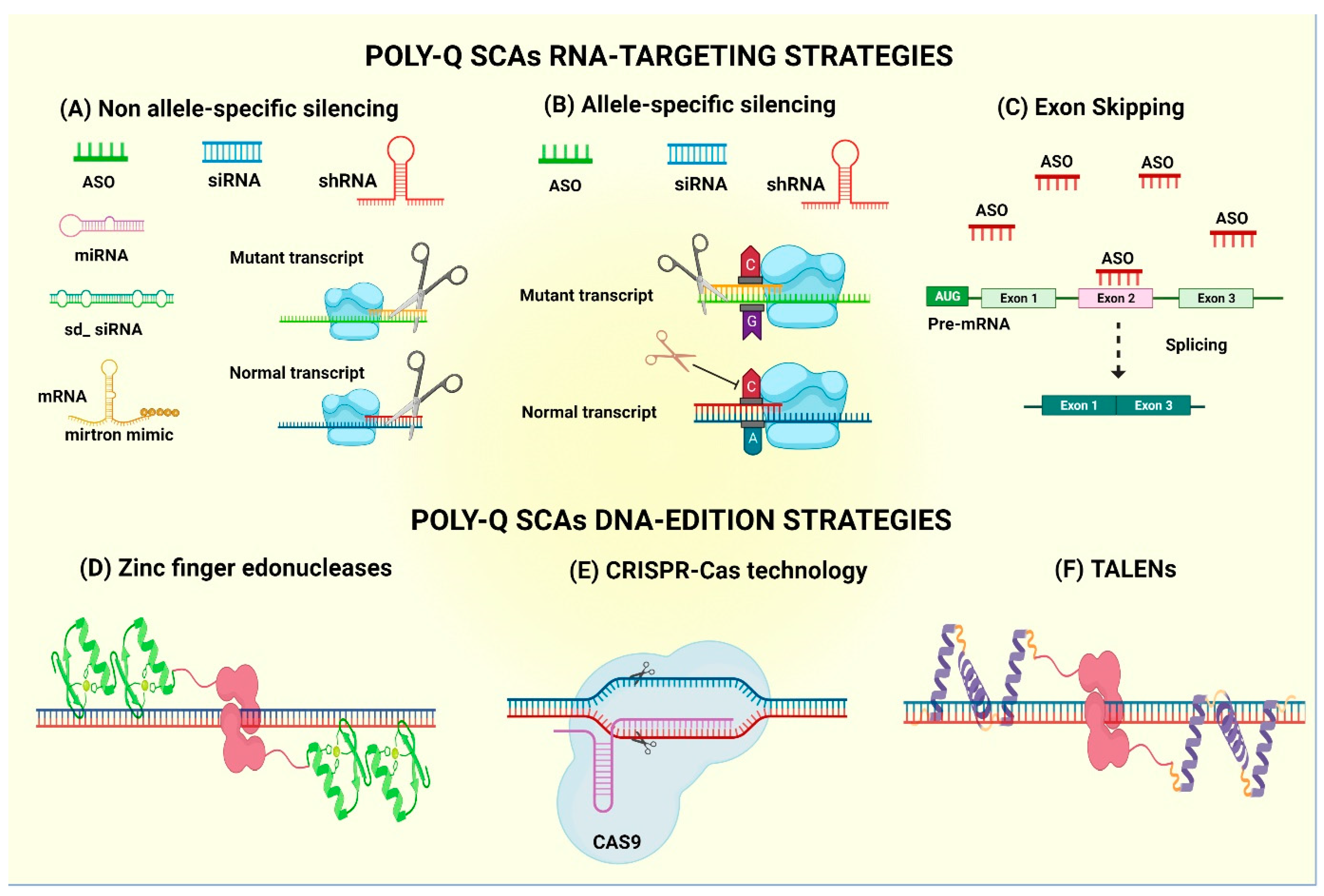 Pharmaceutics 13 01018 g003