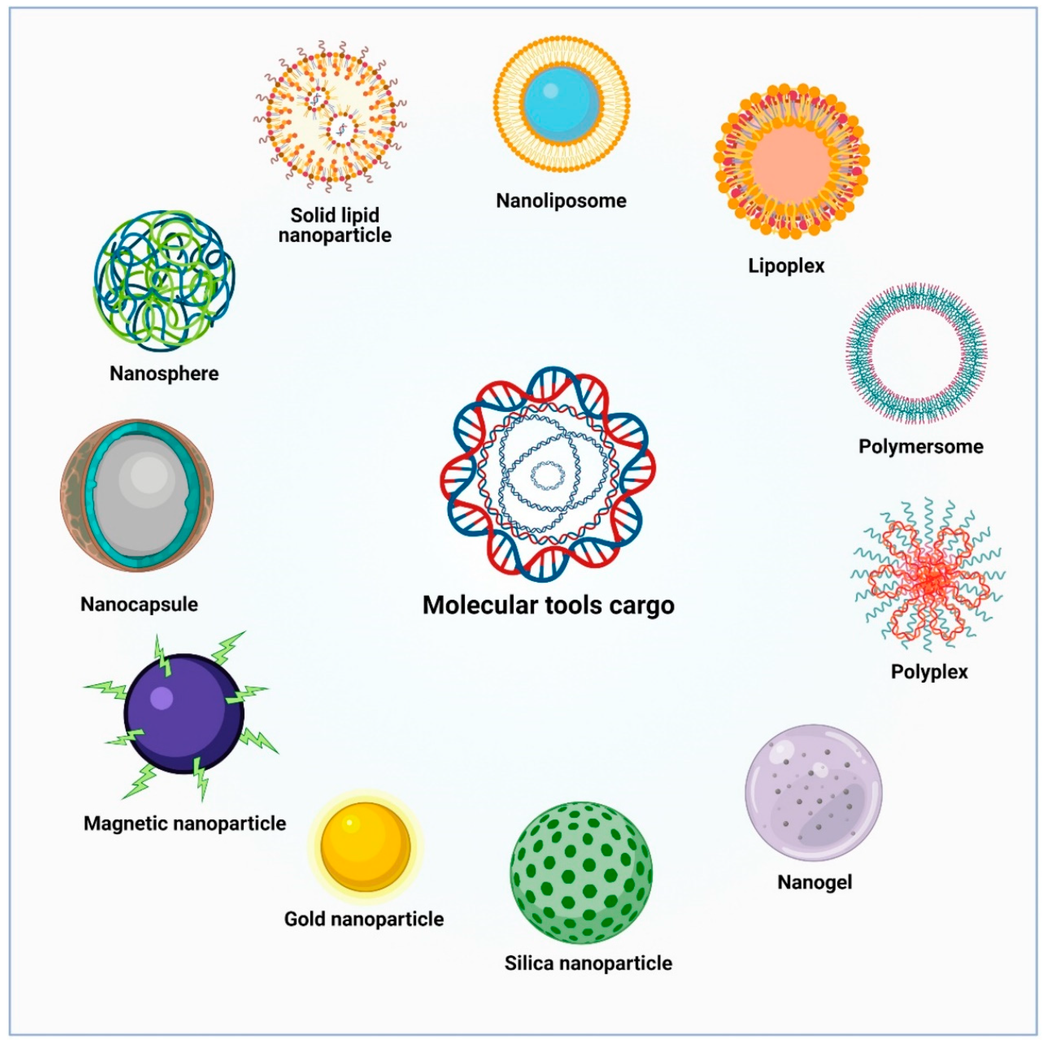 Pharmaceutics 13 01018 g004