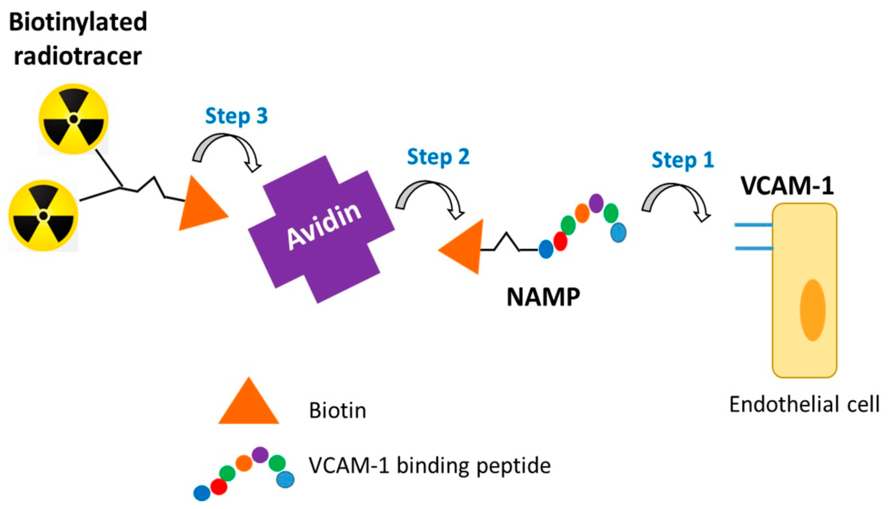 Pharmaceutics 13 01025 g001
