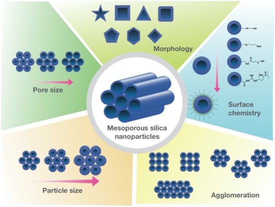 Silica Nanoparticles: Introduction & Overview – nanoComposix