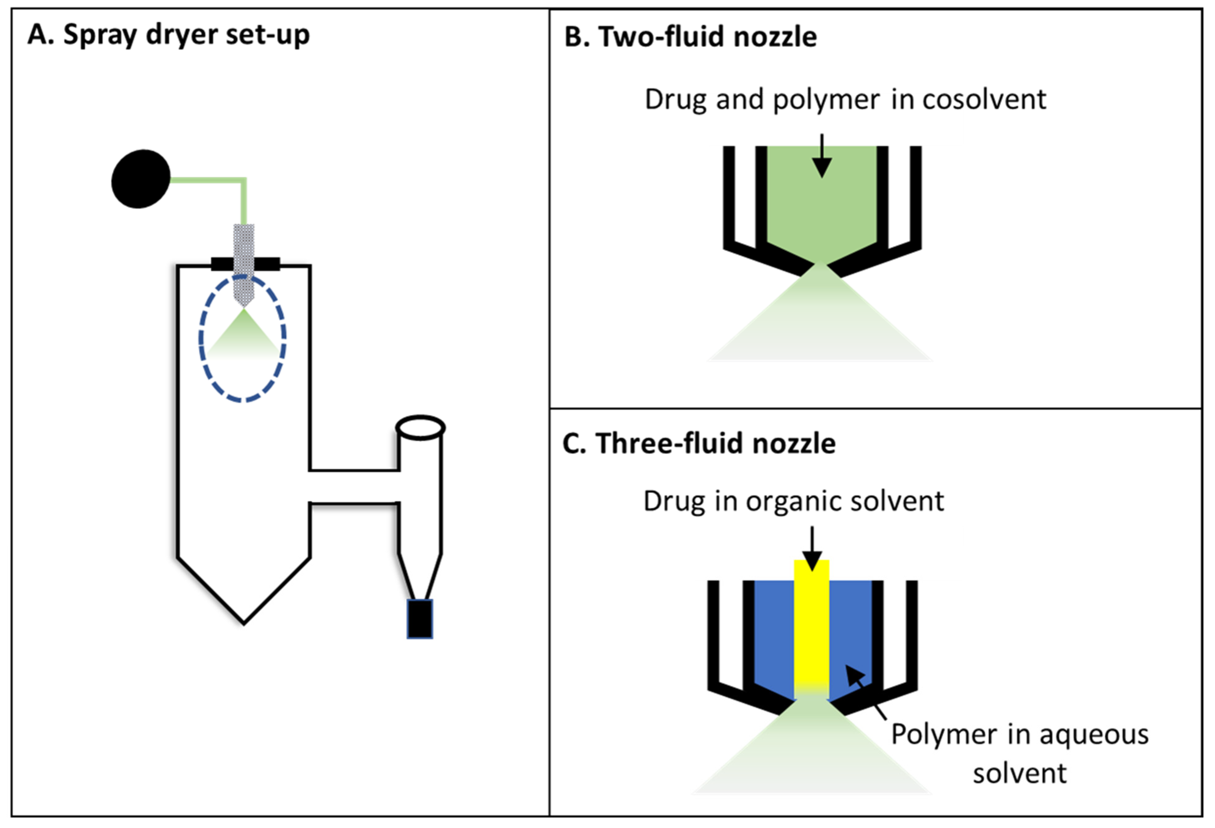 Pharmaceutics 13 01074 g001