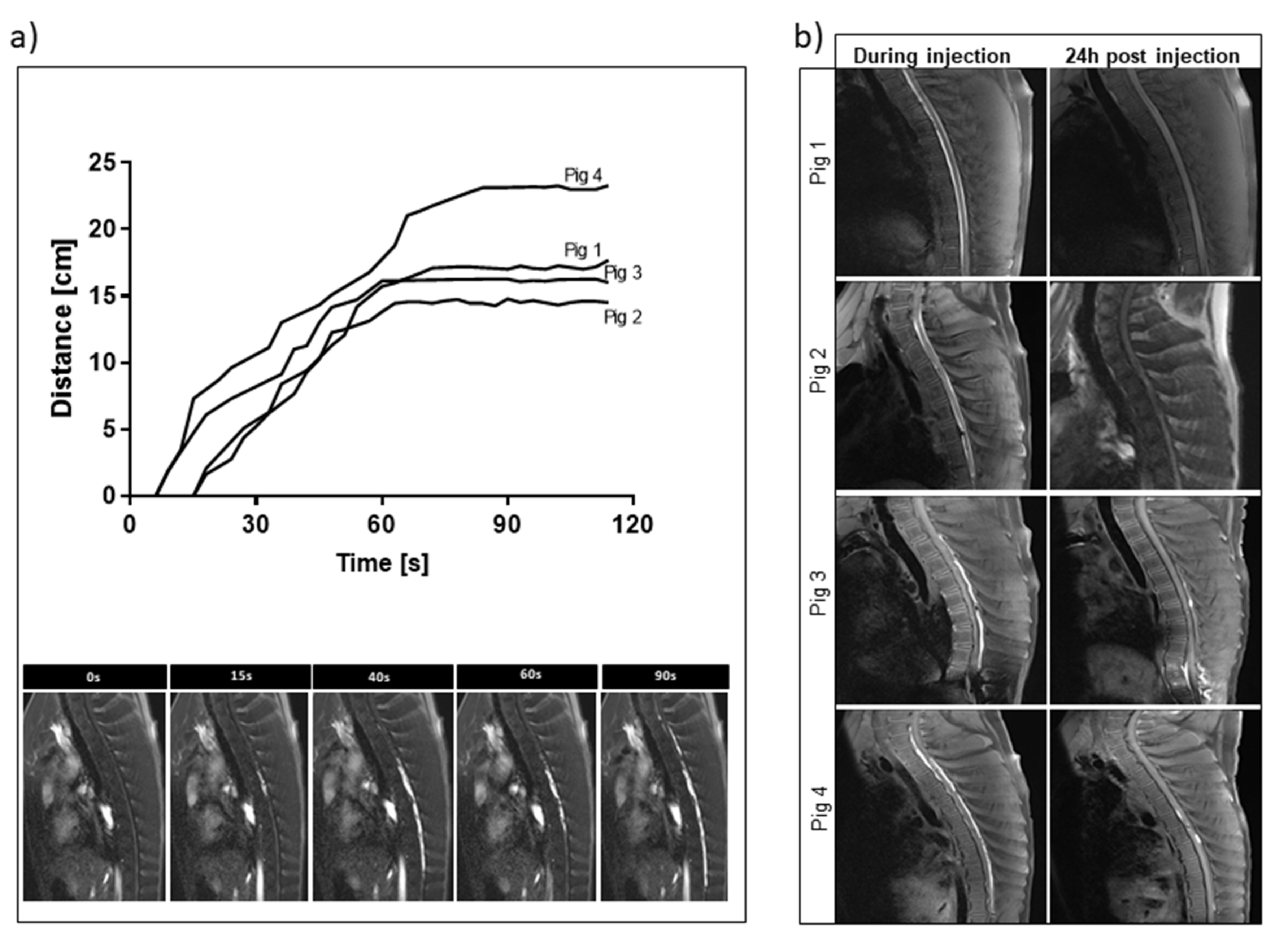 Pharmaceutics 13 01076 g004 Pharmaceutics 13 01076 g004