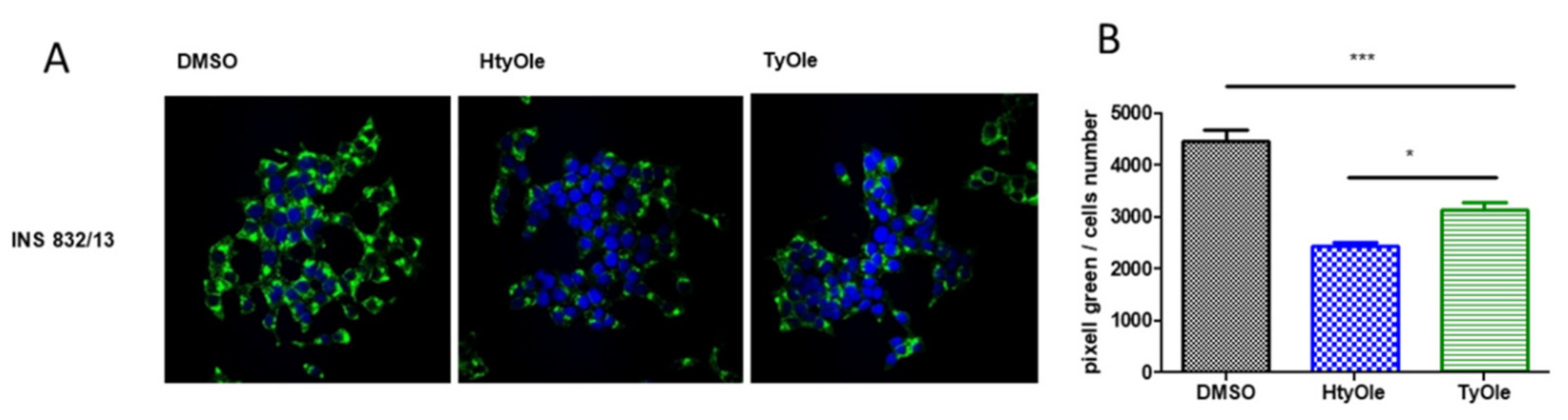 Pharmaceutics 13 01085 g002 Pharmaceutics 13 01085 g002