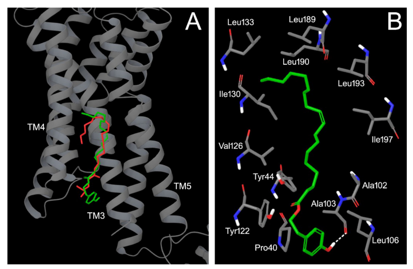 Pharmaceutics 13 01085 g005 Pharmaceutics 13 01085 g005