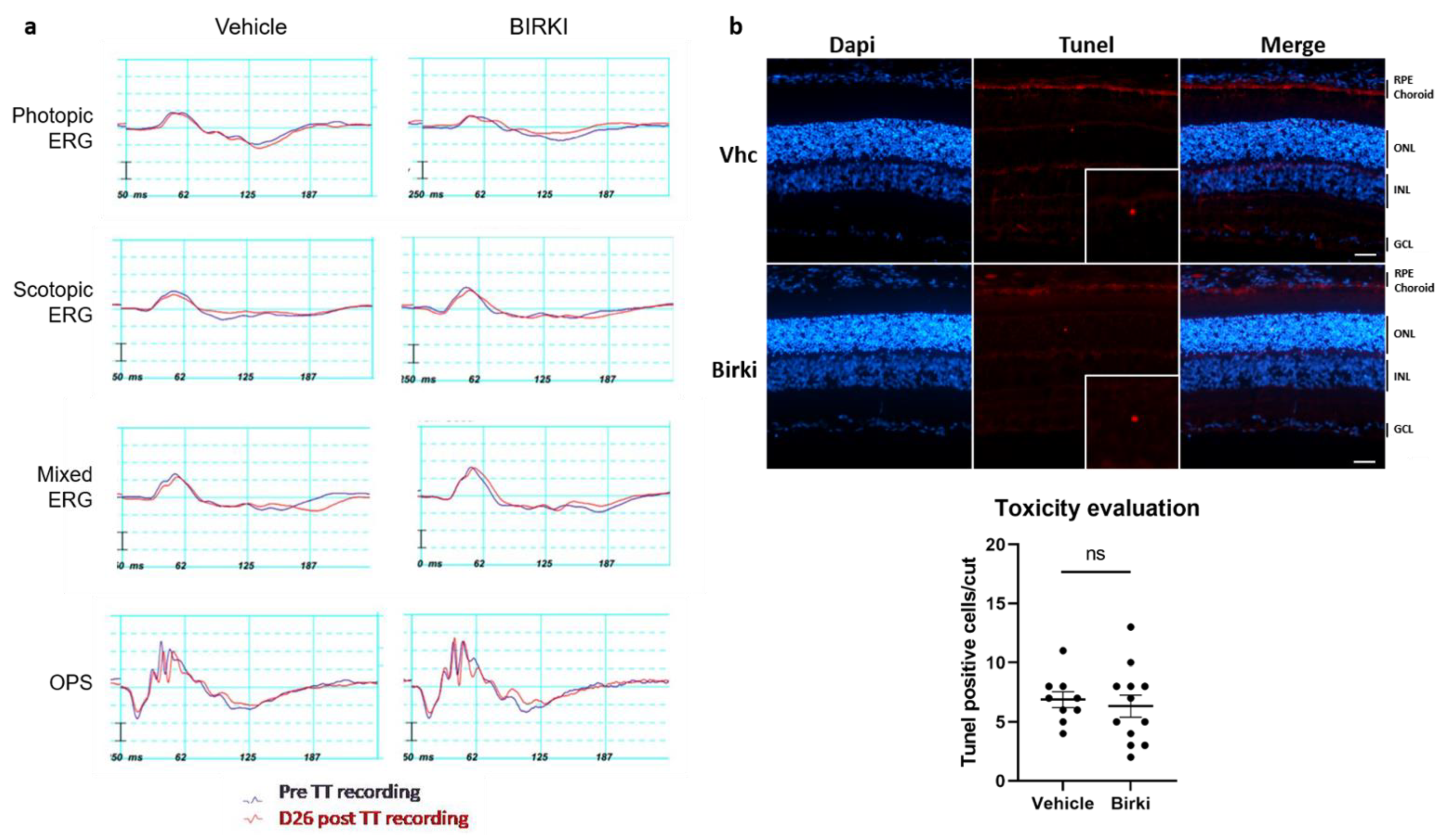 Pharmaceutics 13 01105 g003