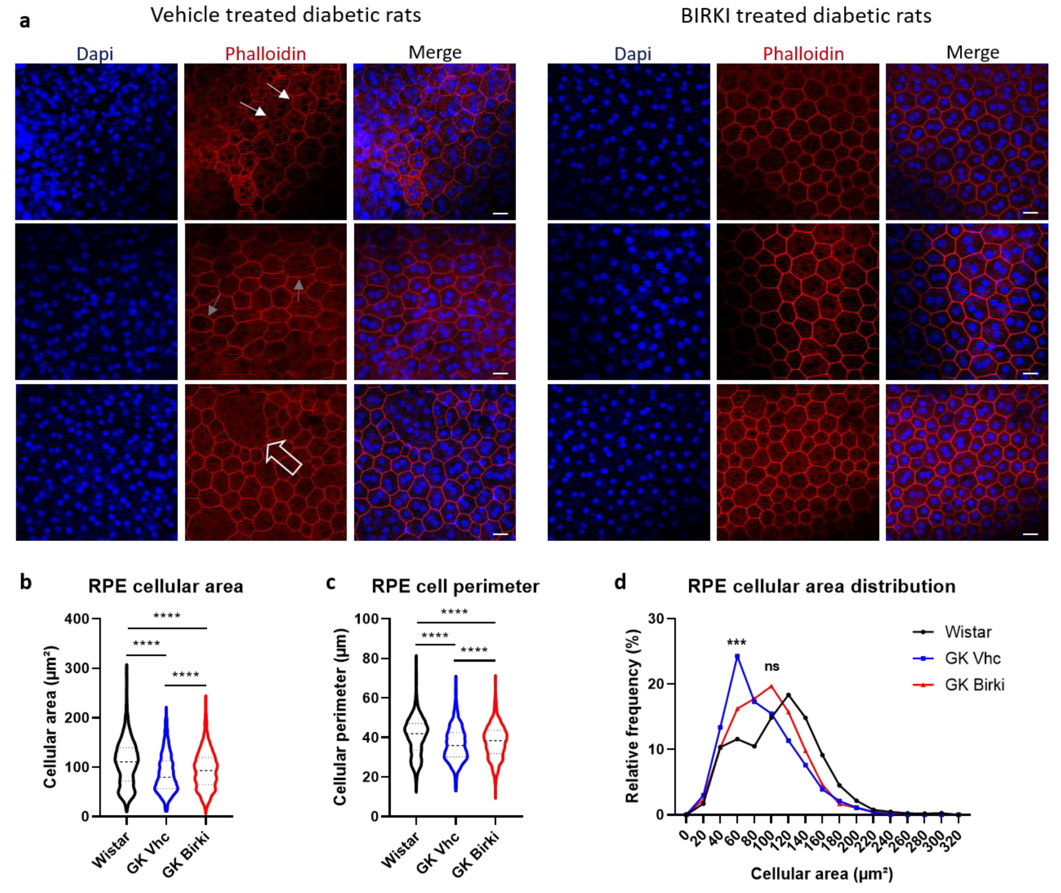 Pharmaceutics 13 01105 g007