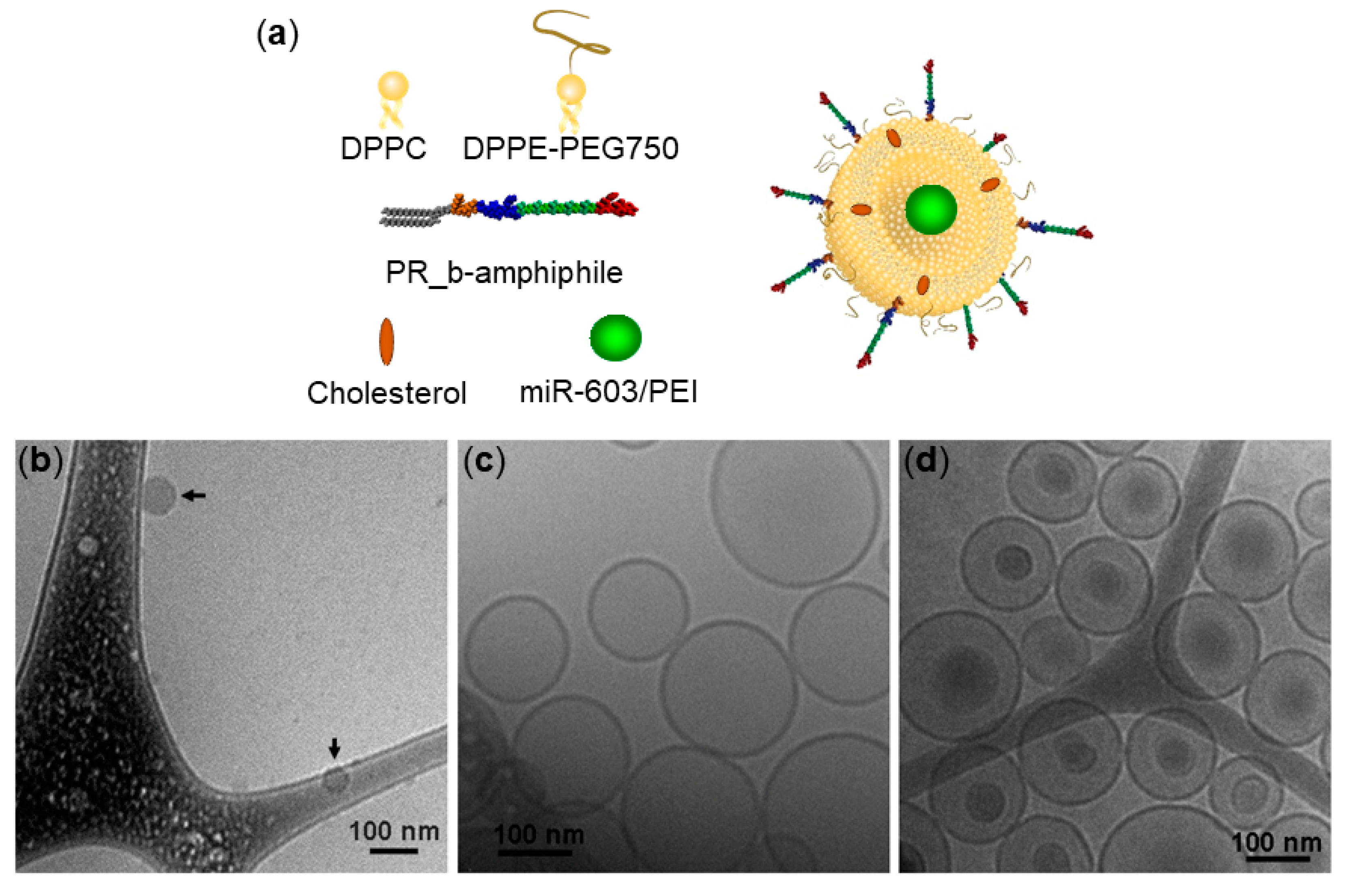 Pharmaceutics 13 01115 g001