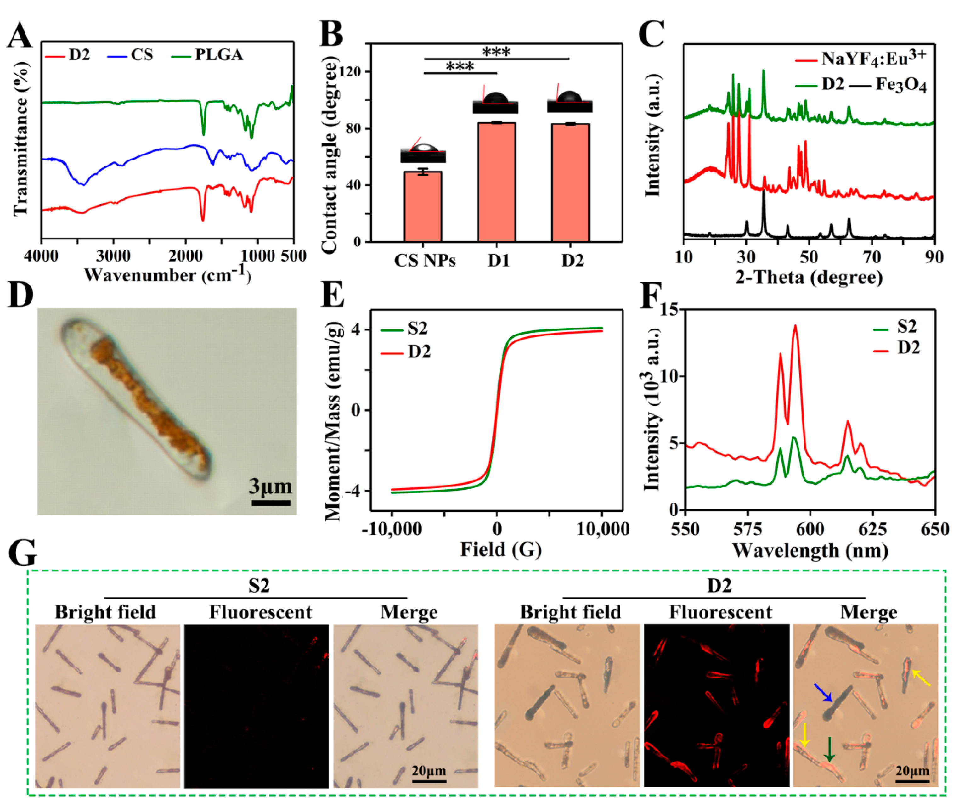 Pharmaceutics 13 01116 g004