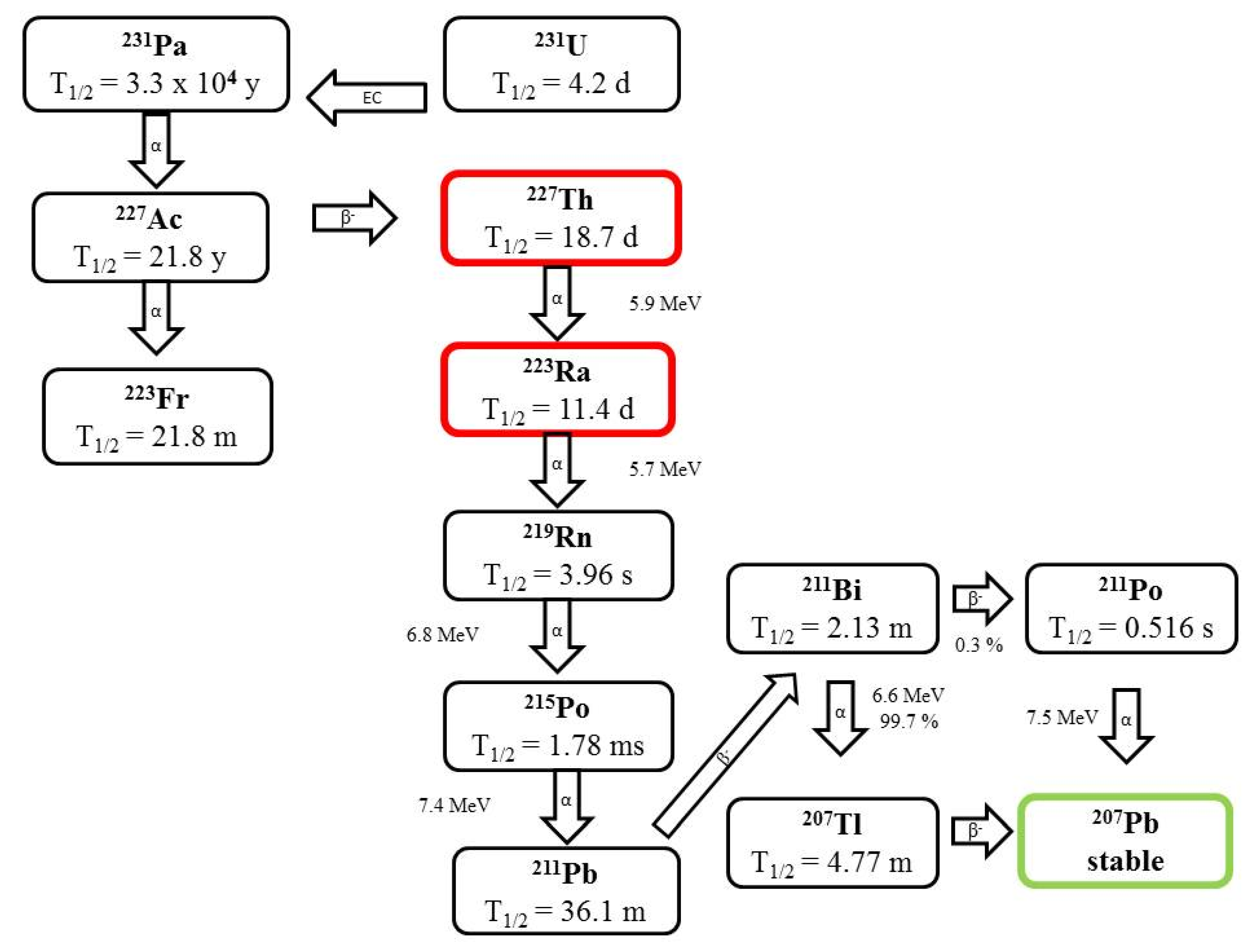 Pharmaceutics 13 01123 g004
