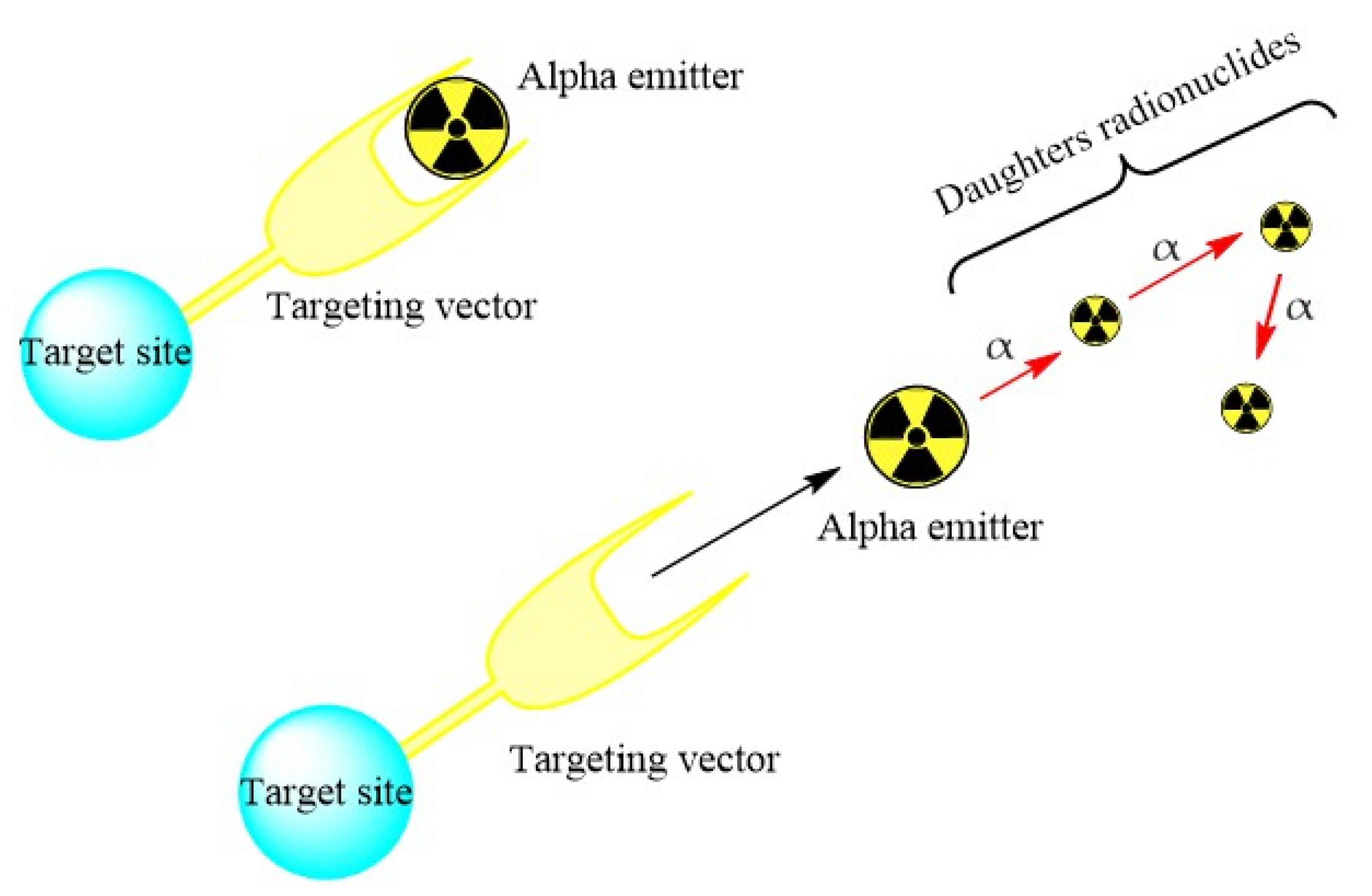 Pharmaceutics 13 01123 g007