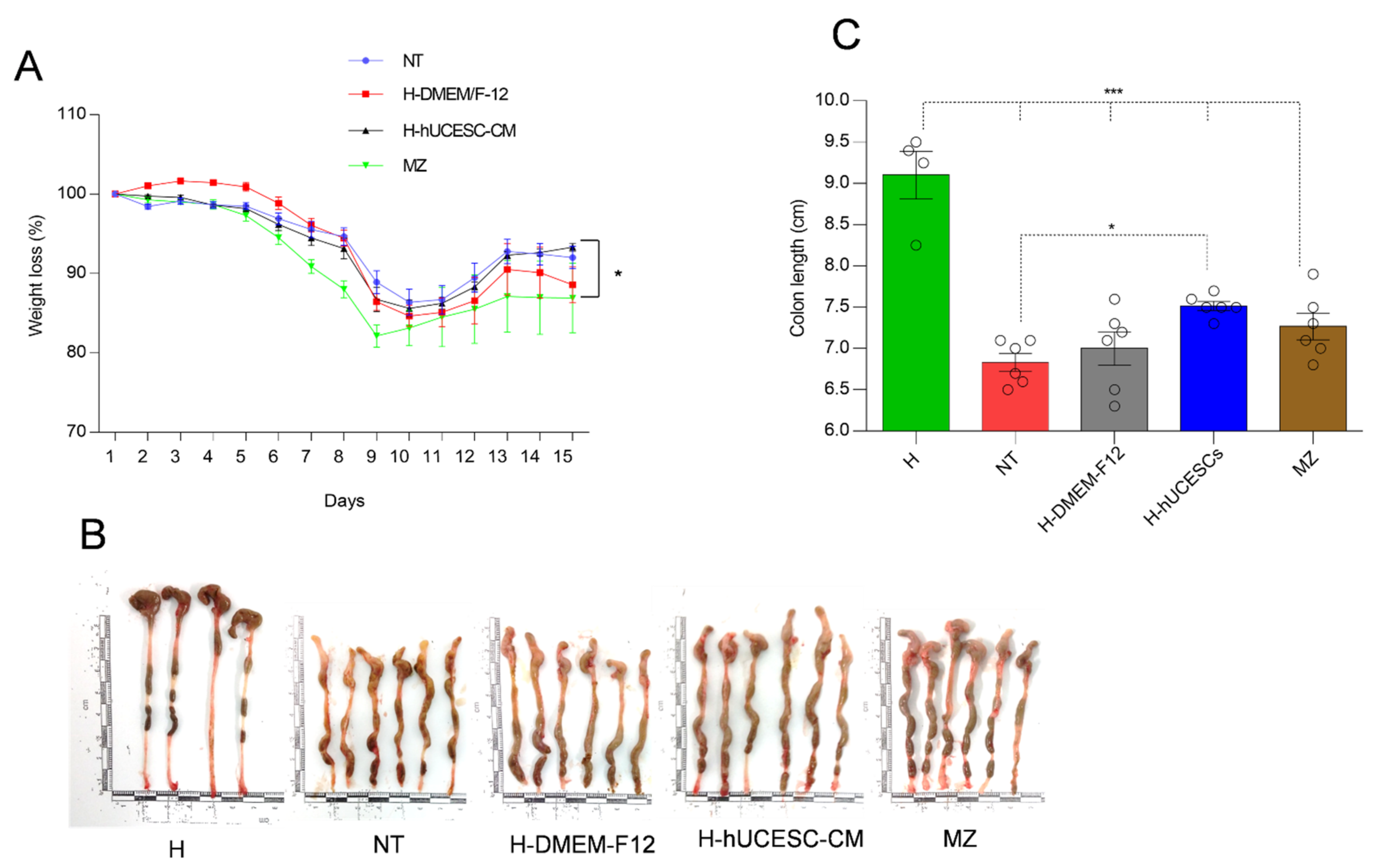 Pharmaceutics 13 01127 g004