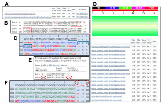 Pharmaceutics Free Full Text Development Of An Immunochromatographic Strip Using Conjugated Gold Nanoparticles For The Rapid Detection Of Klebsiella Pneumoniae Causing Neonatal Sepsis Html