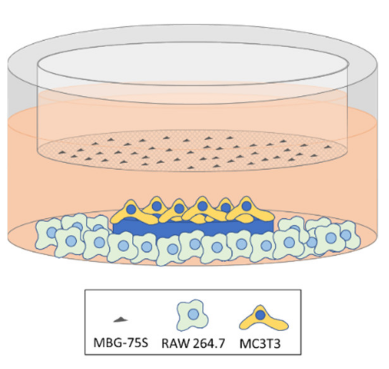 Pharmaceutics 13 01152 sch002